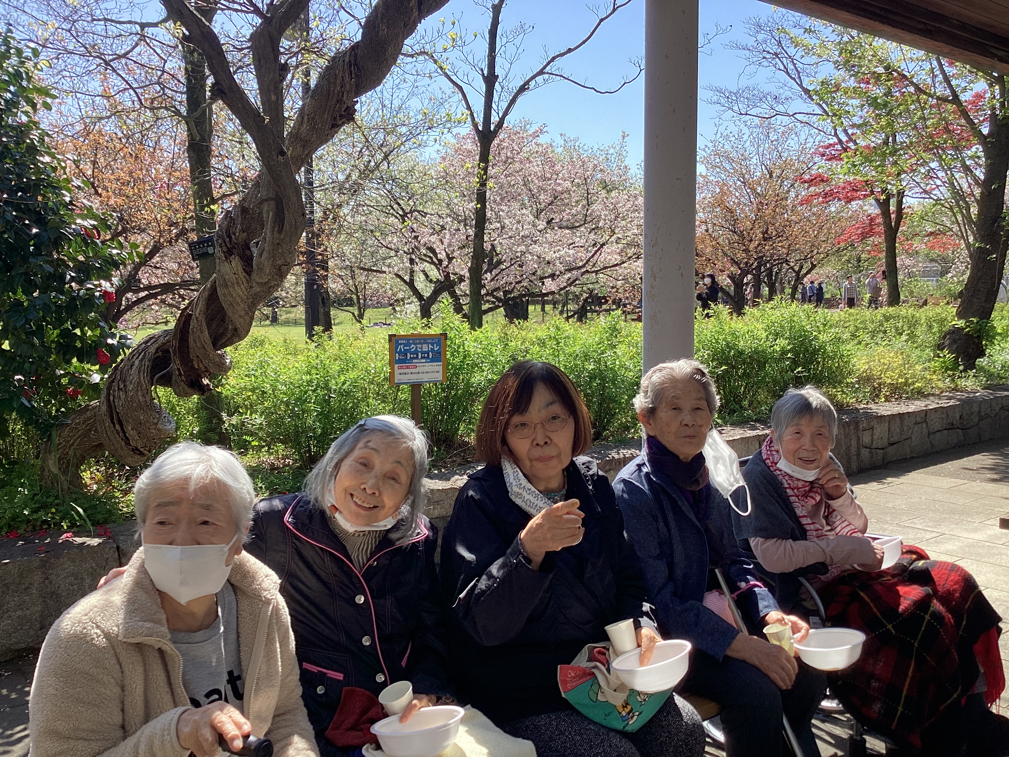 桜を見に行きました。