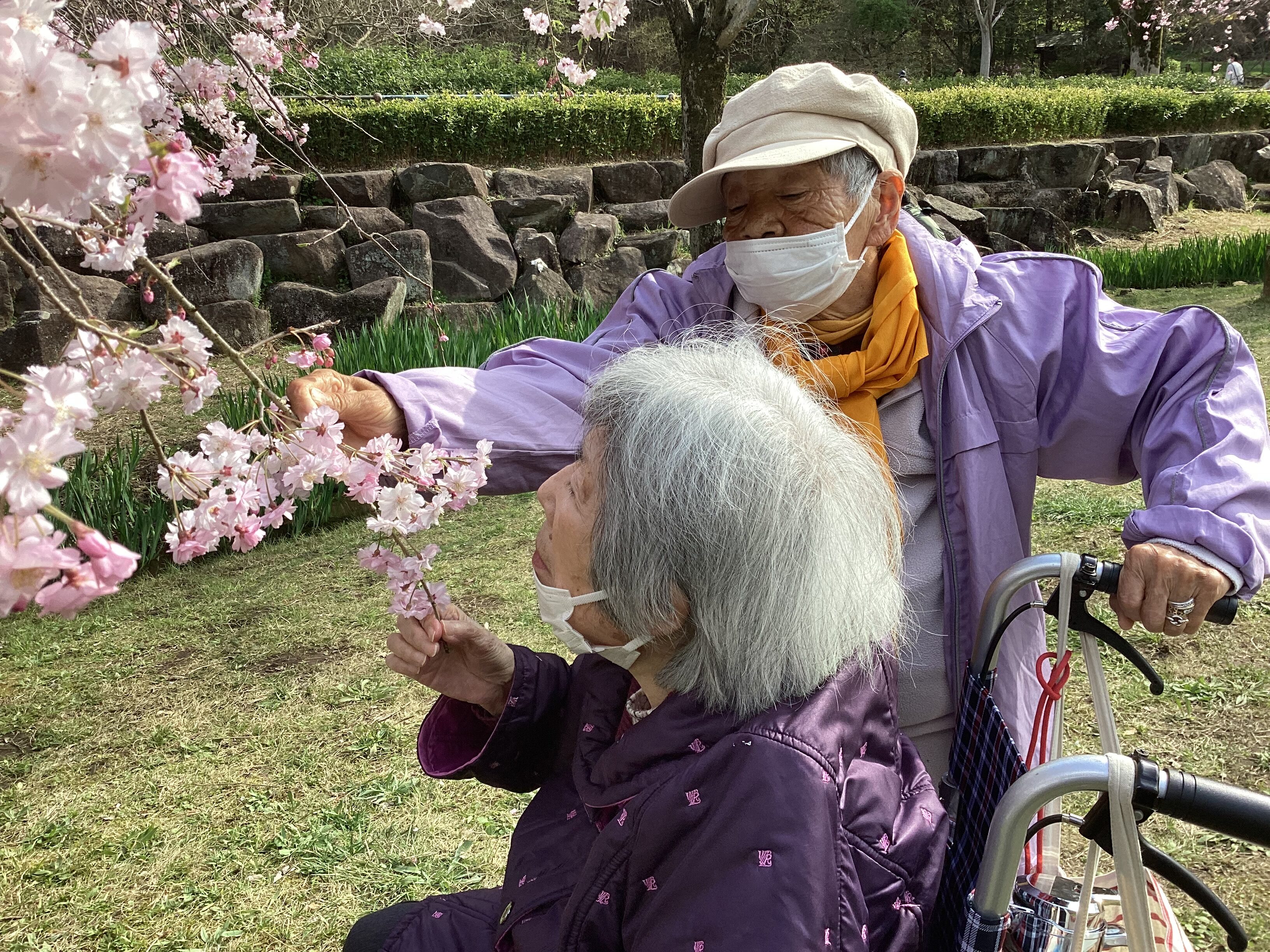 ソメイヨシノを見に出かけました。Part１