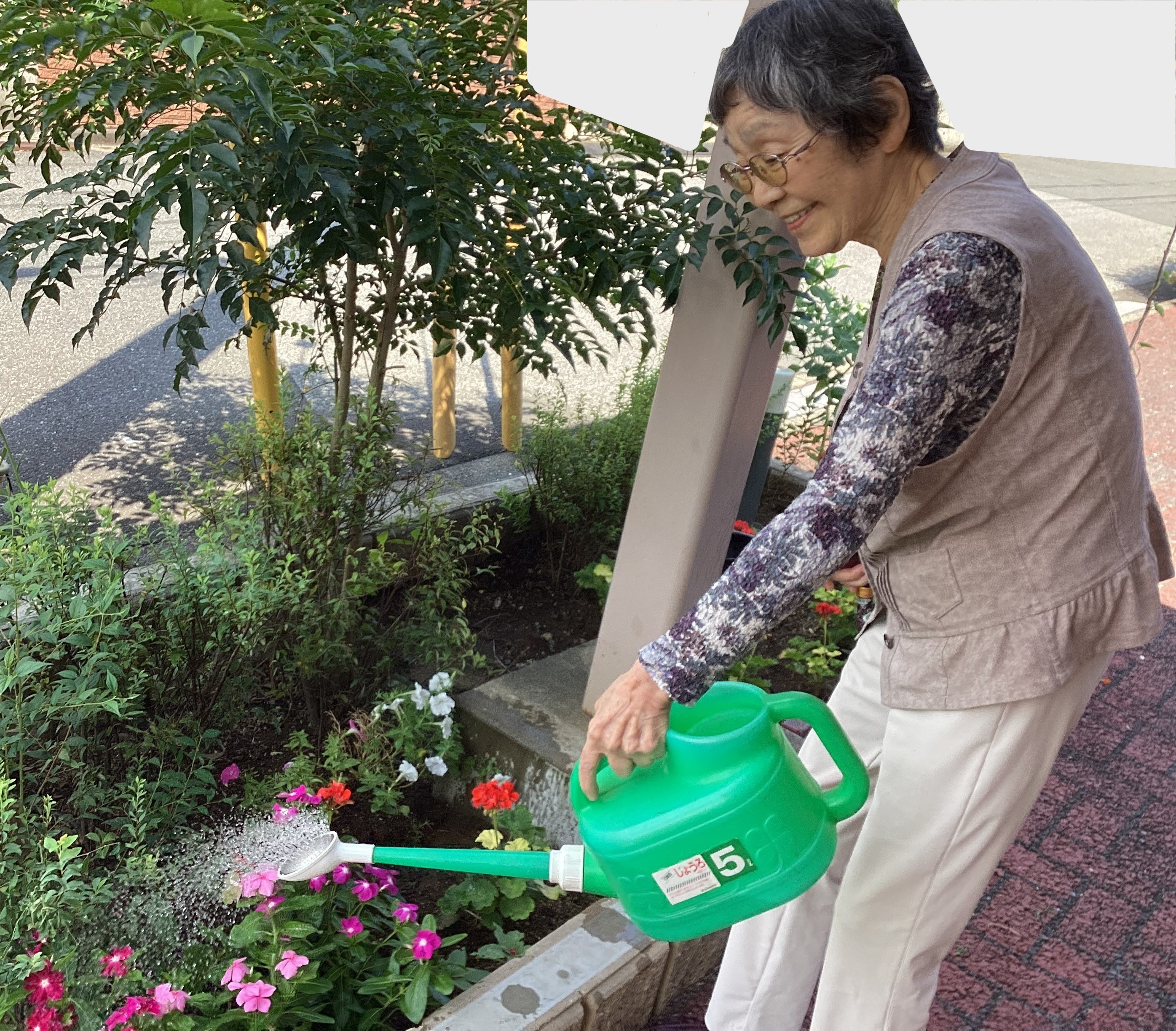 花壇の水やり