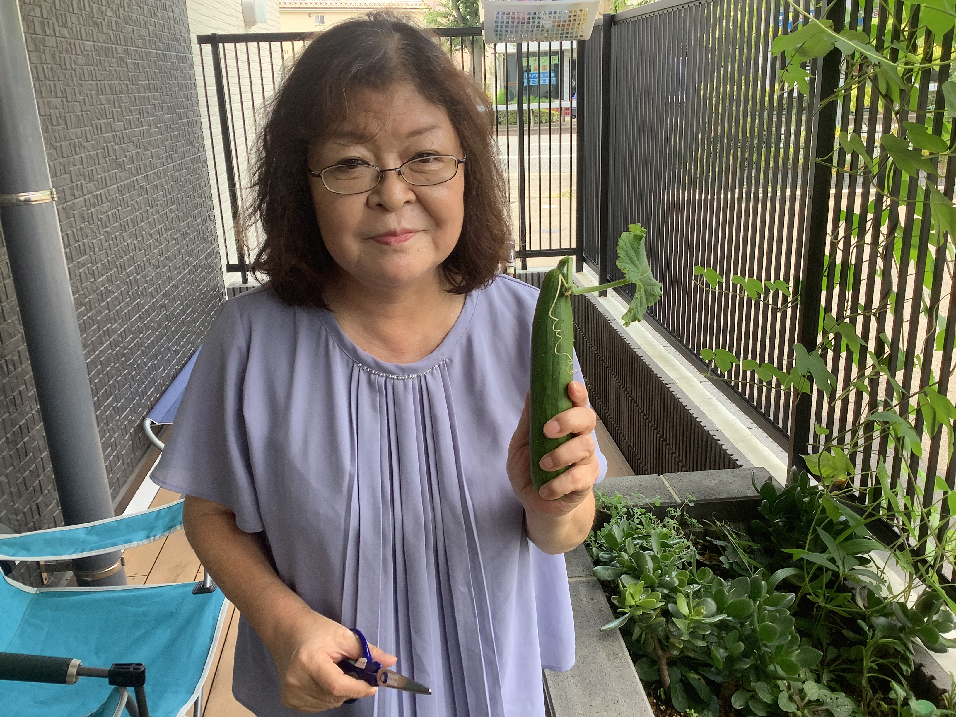 キュウリの収穫　Part２