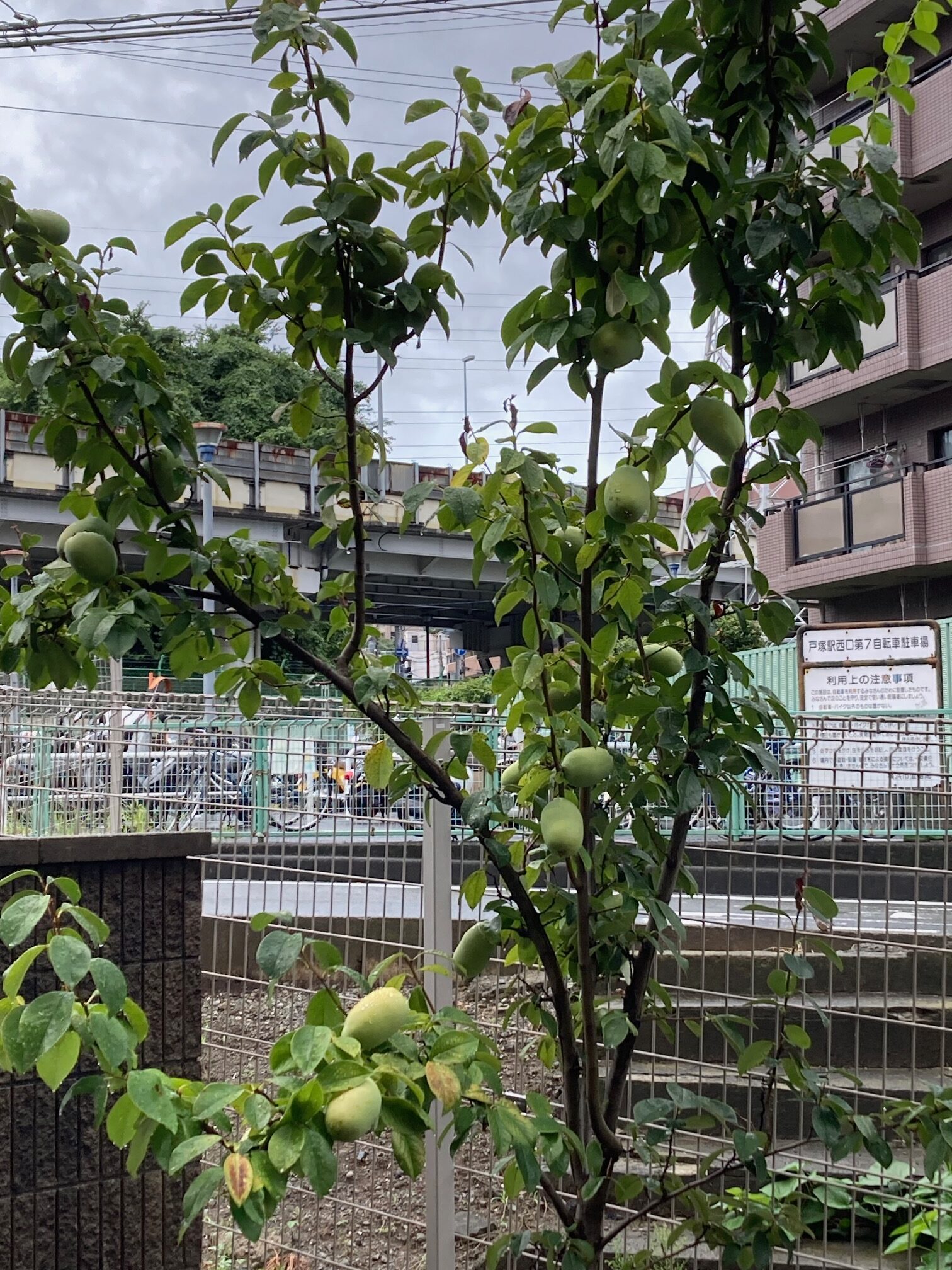 ９月のイベントカレンダーを更新いたしました
