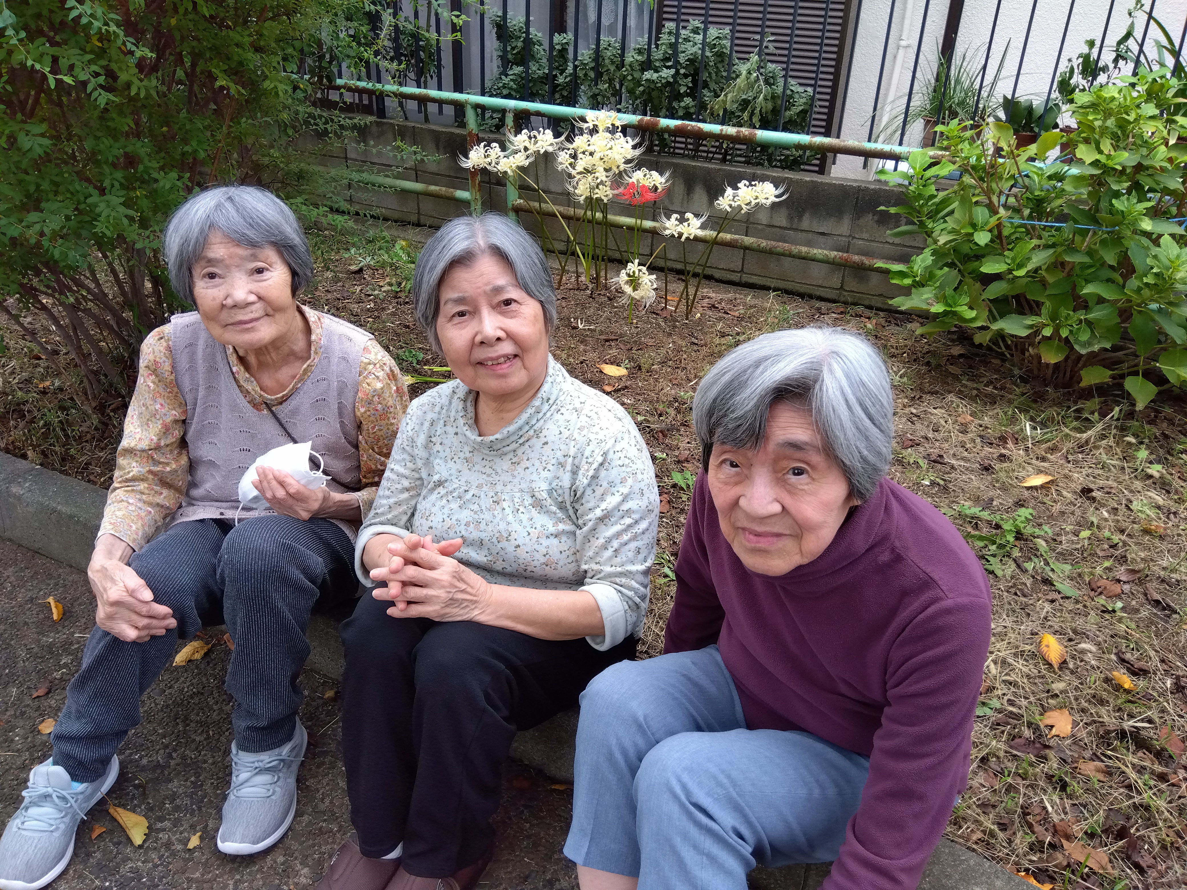 彼岸花の開花