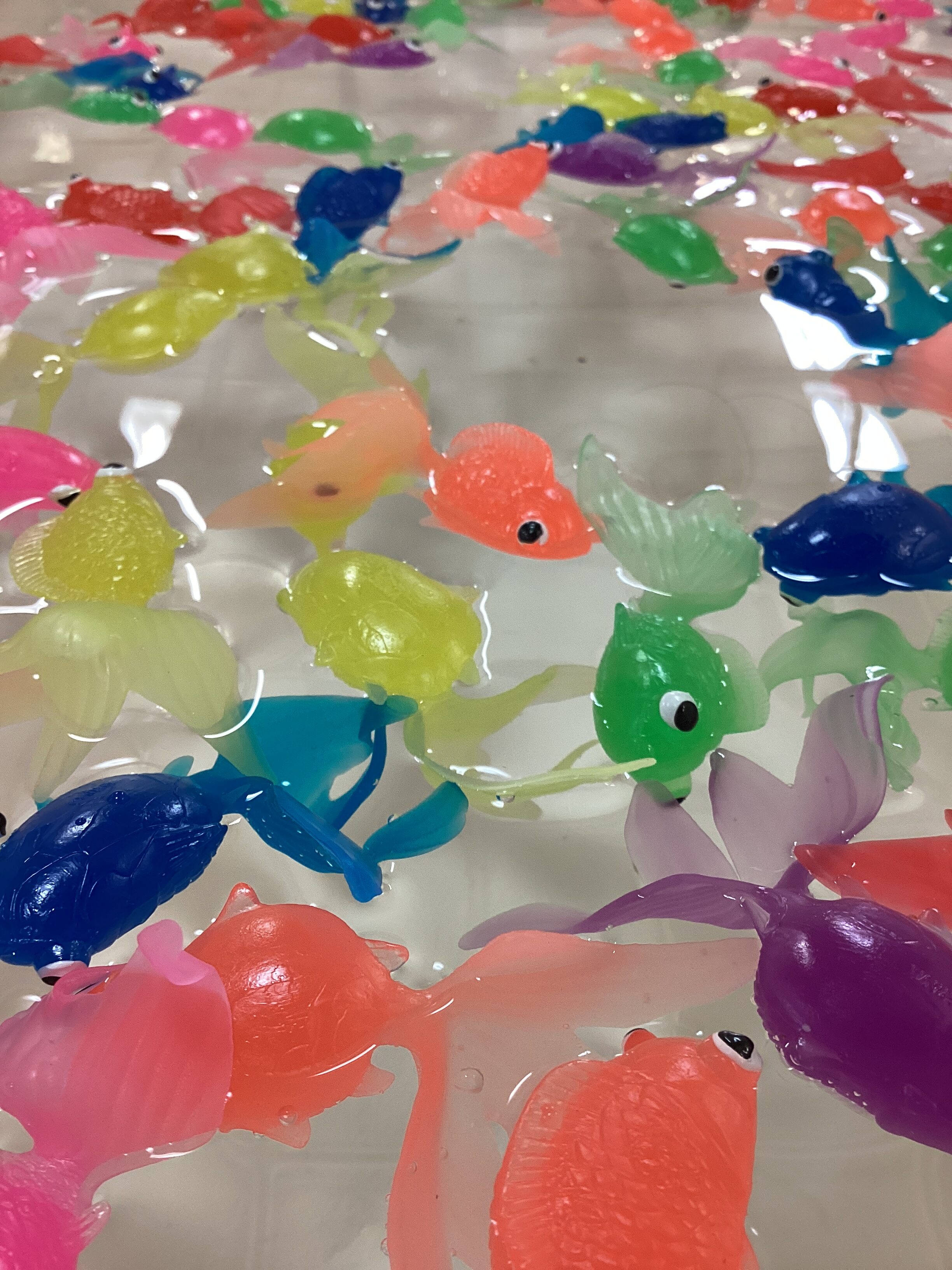 秋祭り開催しました。