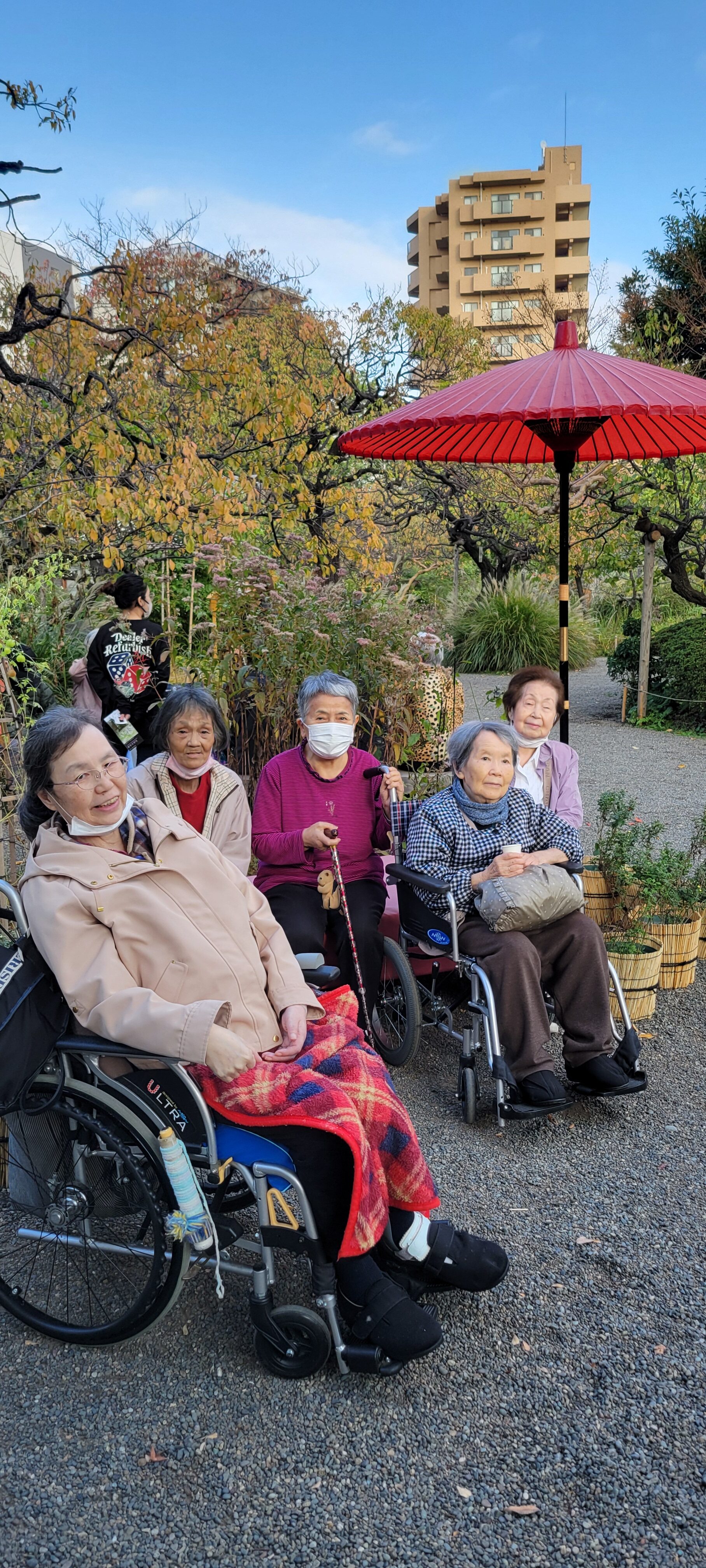 【葛飾奥戸】向島百花園(11月)