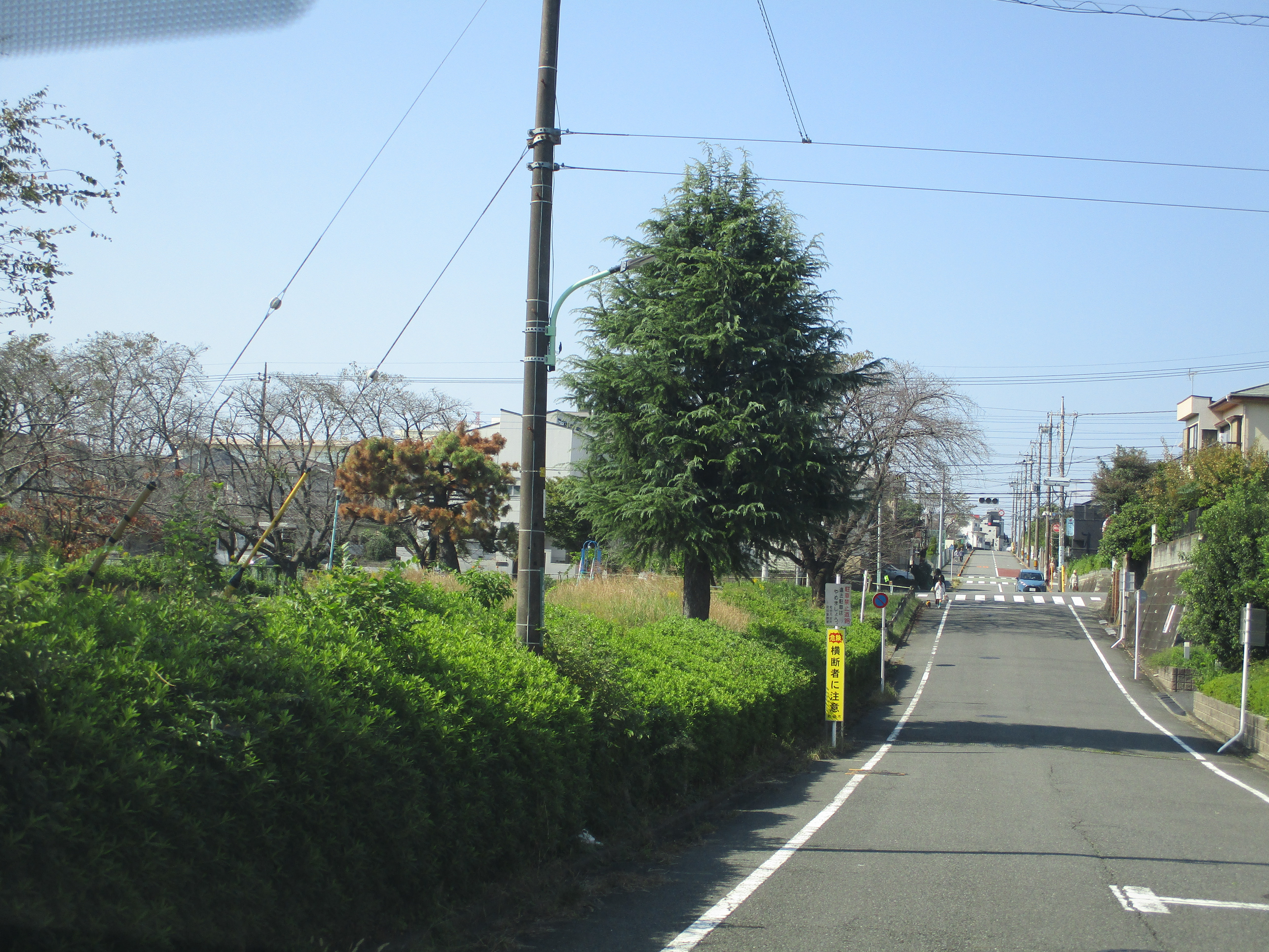 青空の中　ドライブ楽しみました