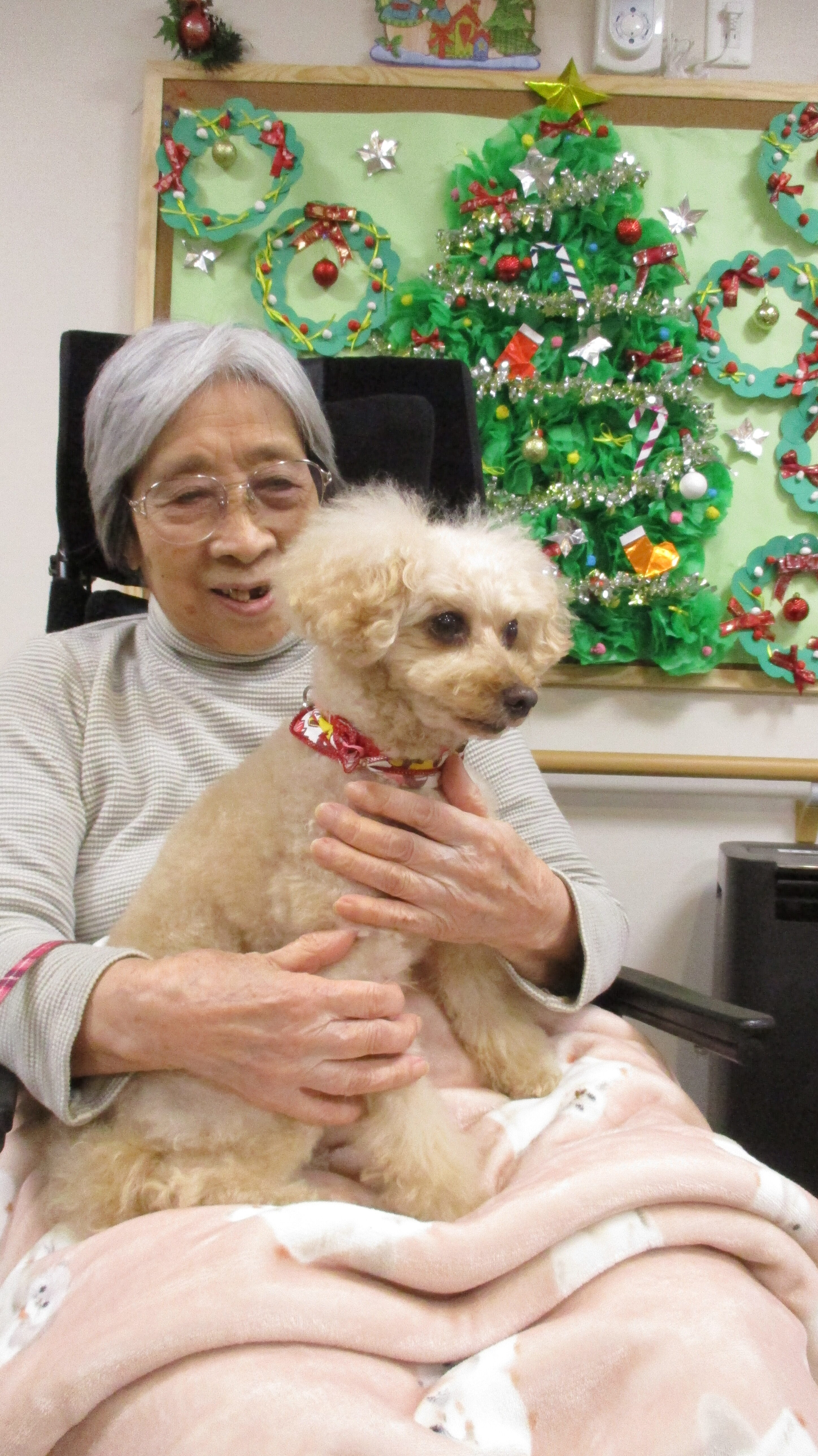 るるちゃんとツリー前で写真