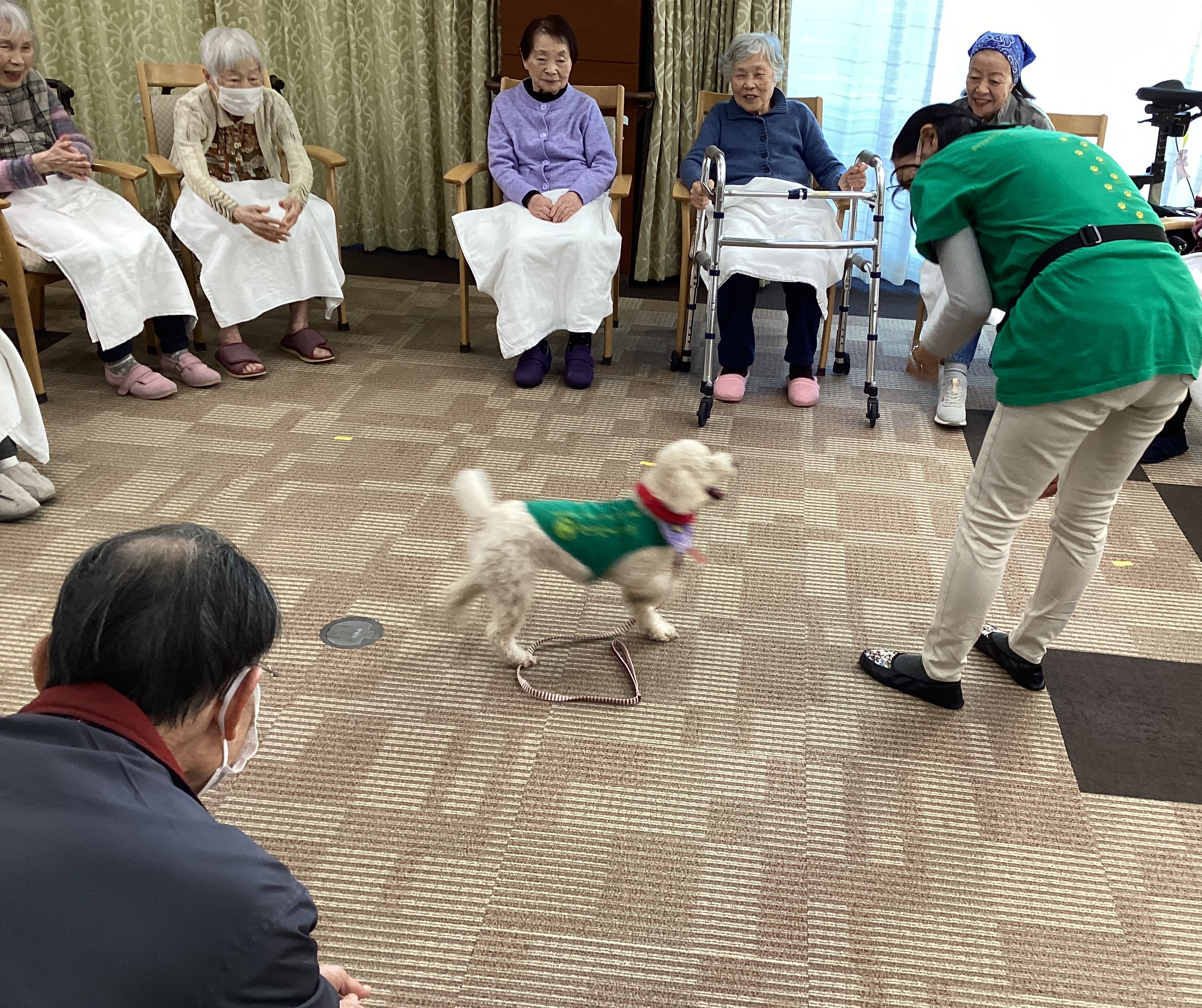 🐶動物と触れ合う時間🐶