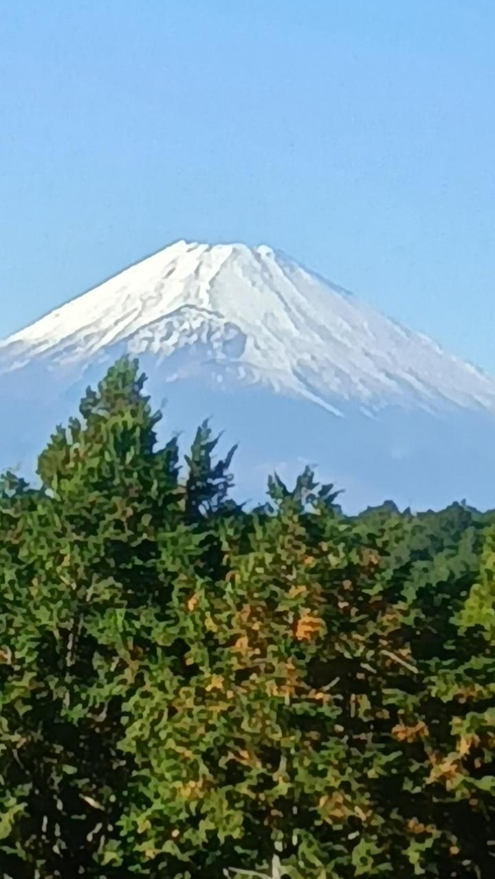 外出レク　スカイウォーク