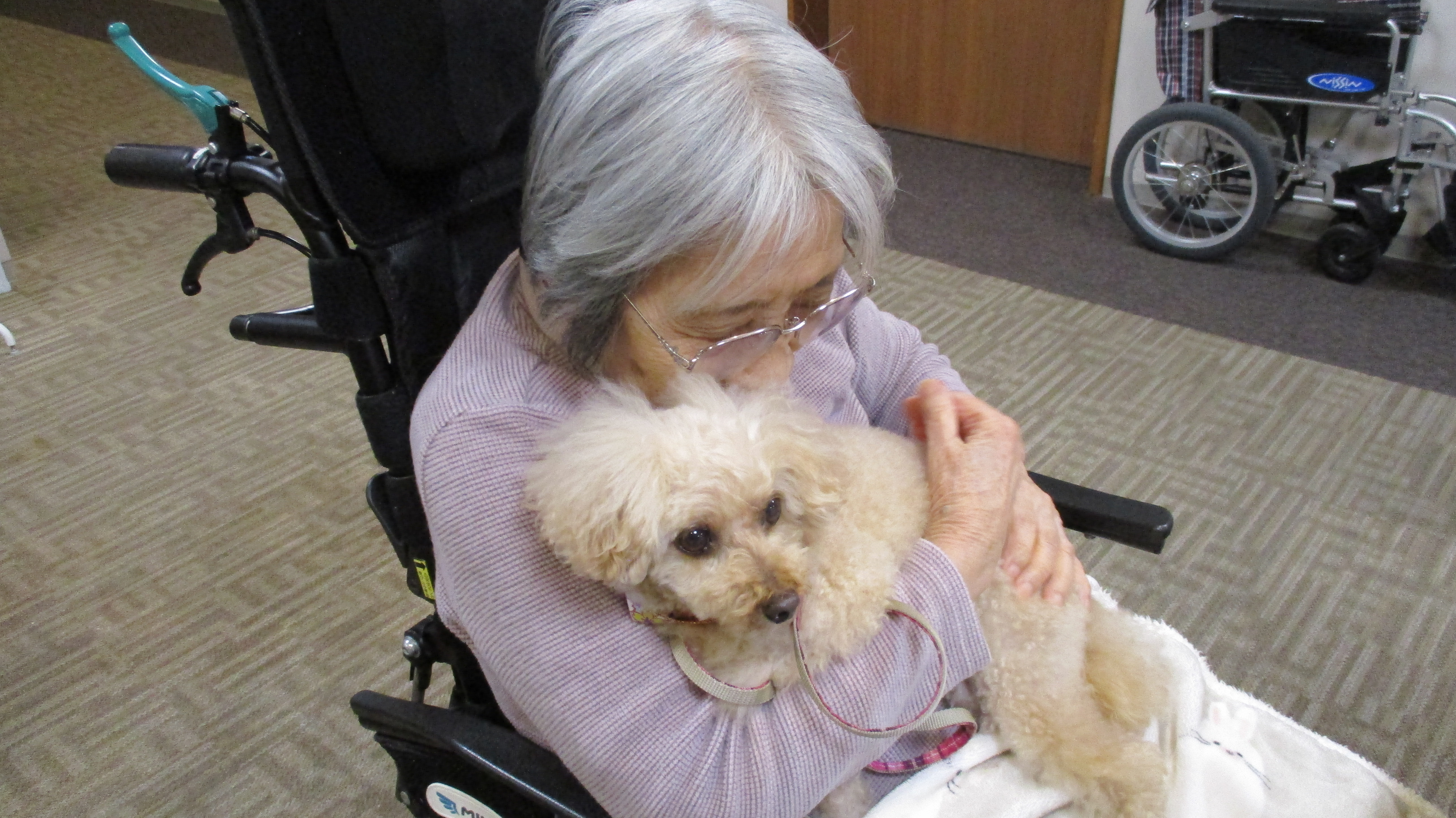 犬のるるちゃんが訪問してきてくれた写真