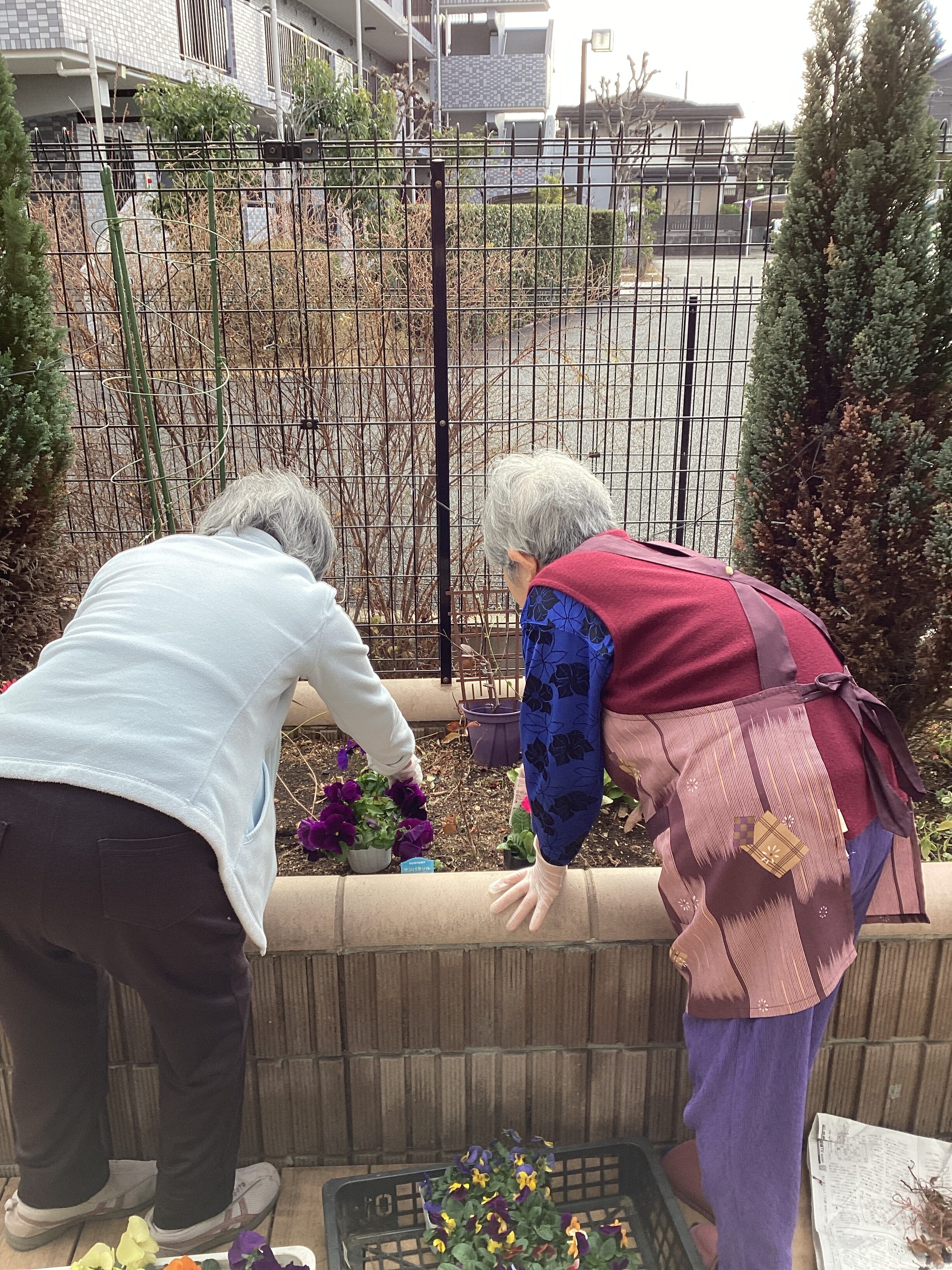 お花を植えました🌼