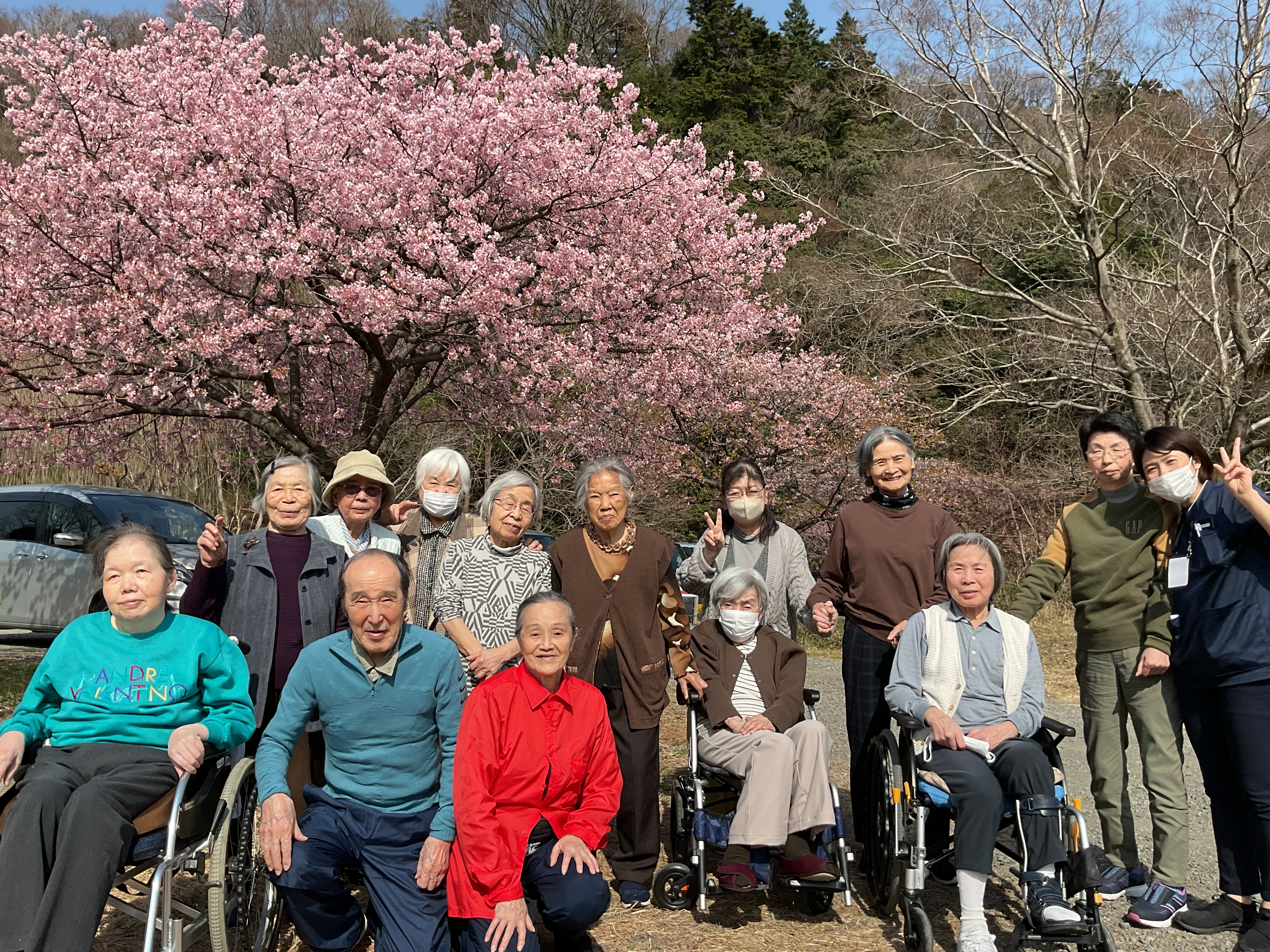 河津桜を見にお出かけしました。