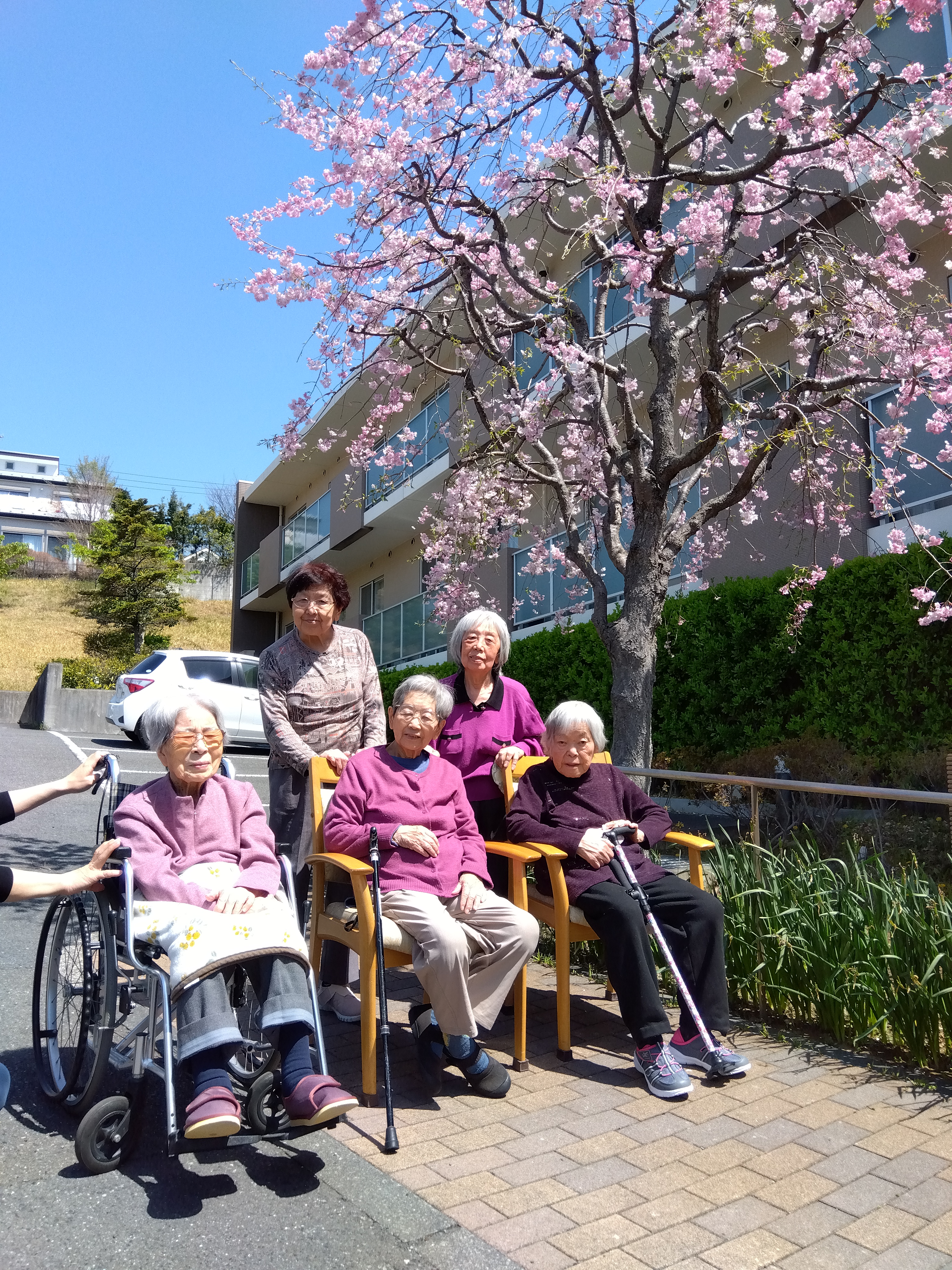 デイサービス　お花見