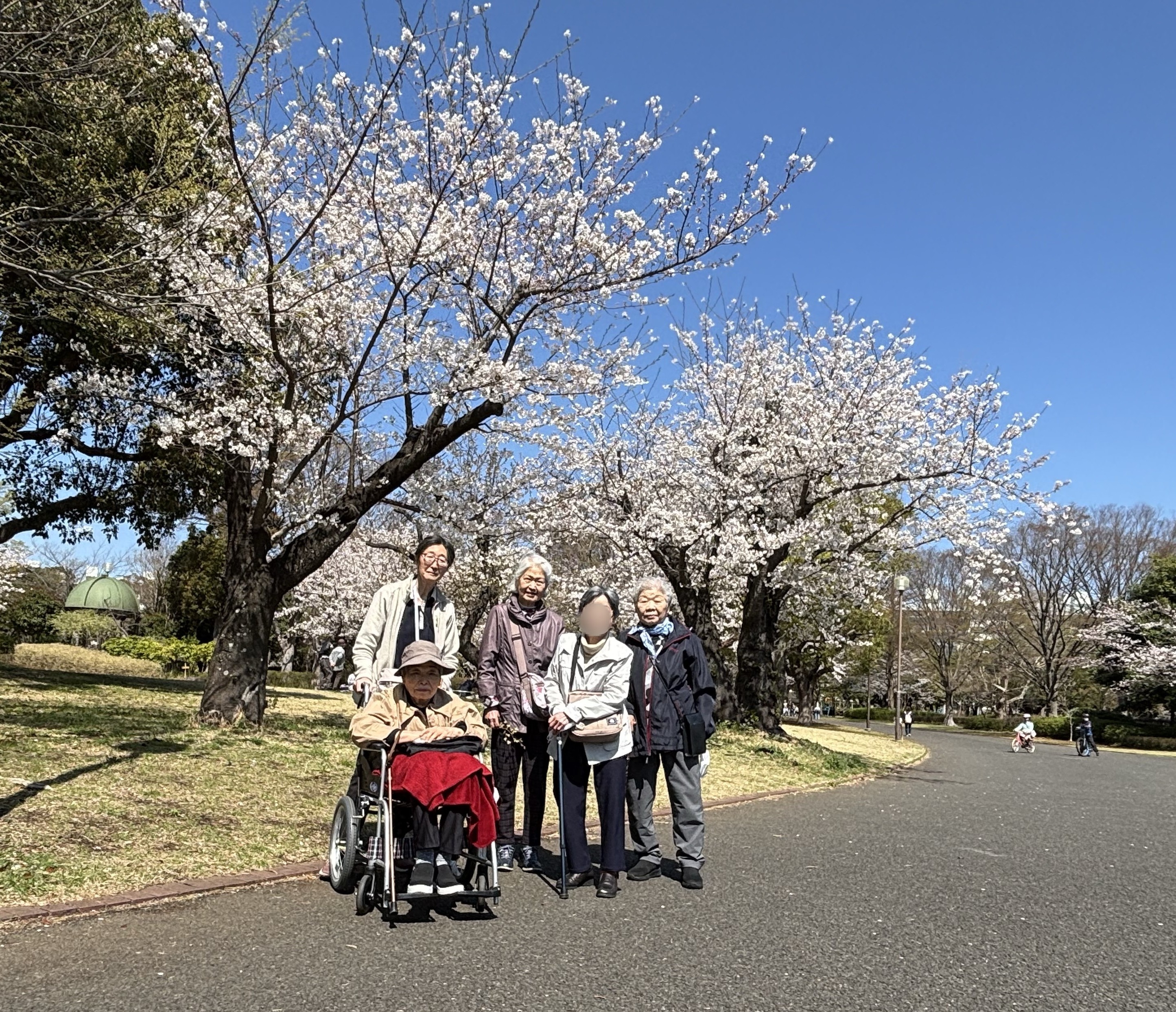 お花見🌸午前の部