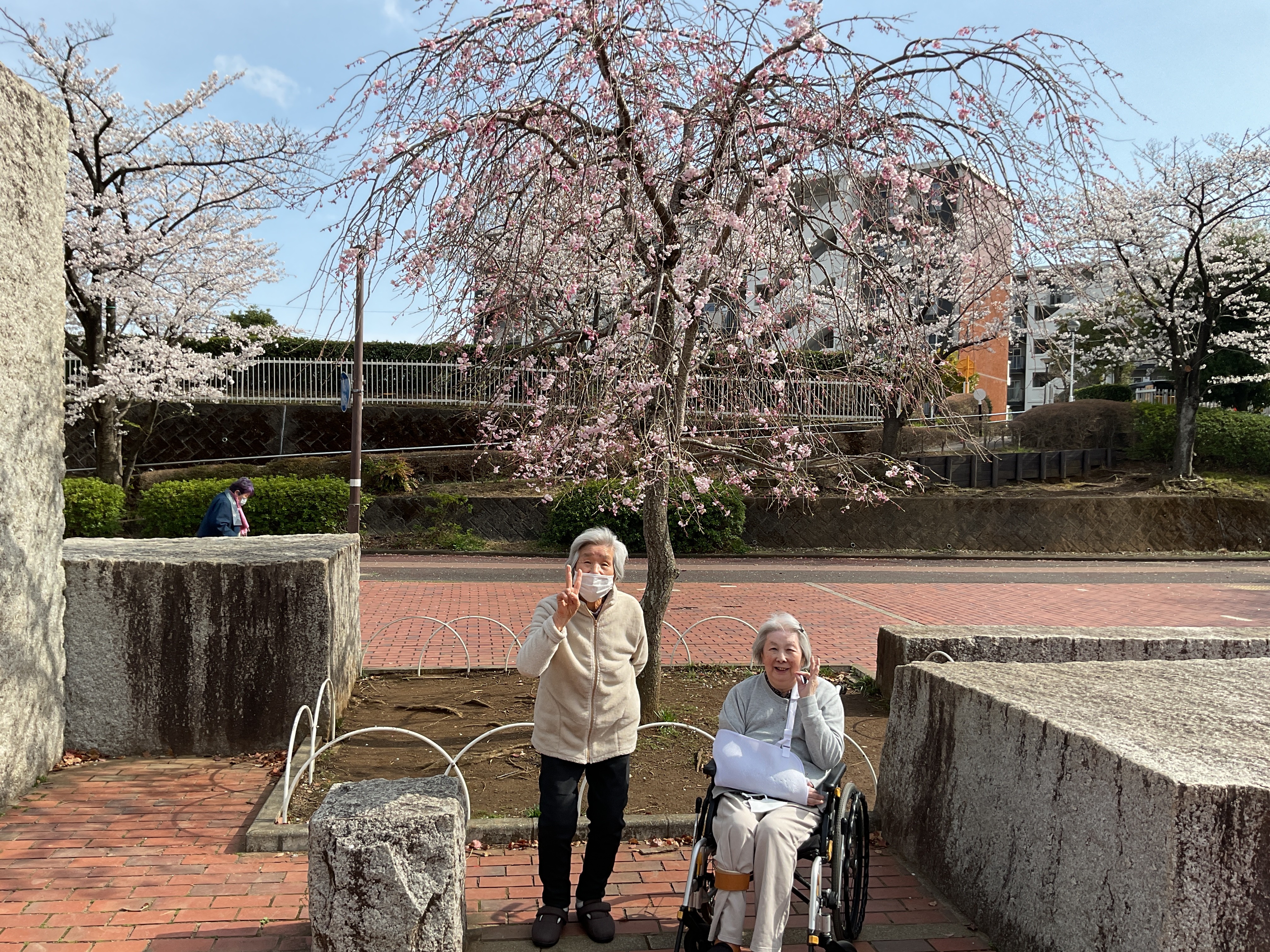 小規模多機能居宅介護　４月‐②　桜　花見