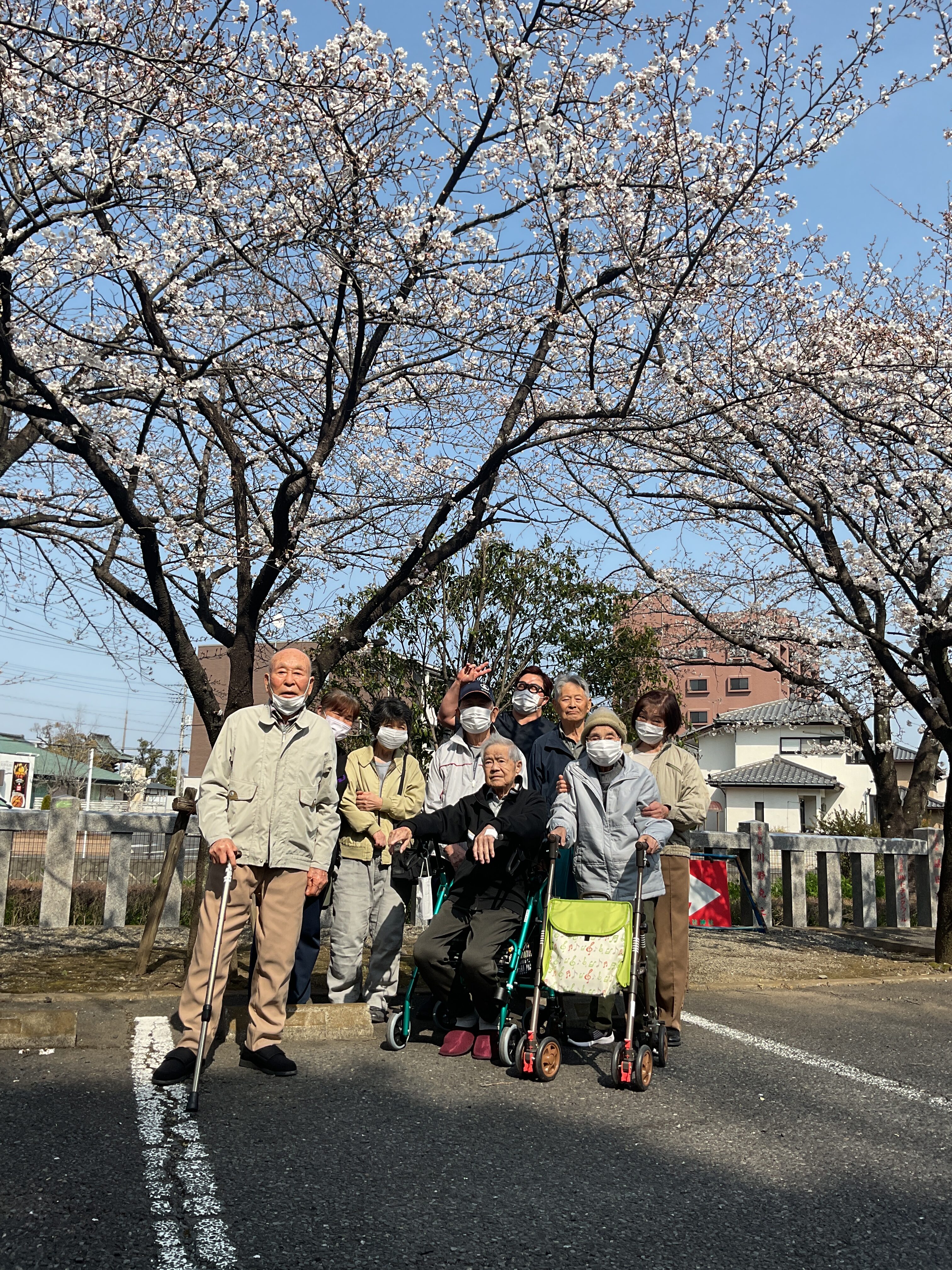 🌸お花見🌸DAY1