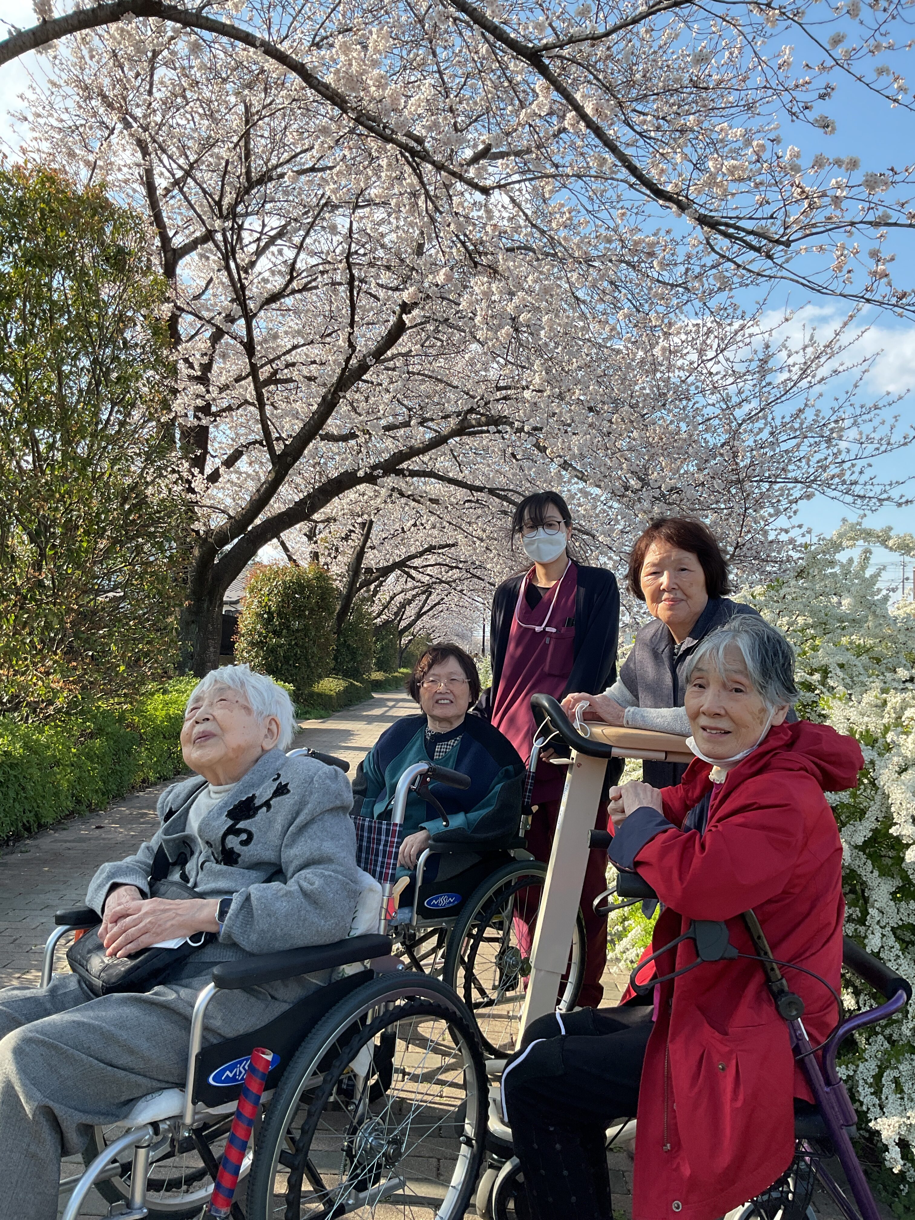 お花見DAY2🌸
