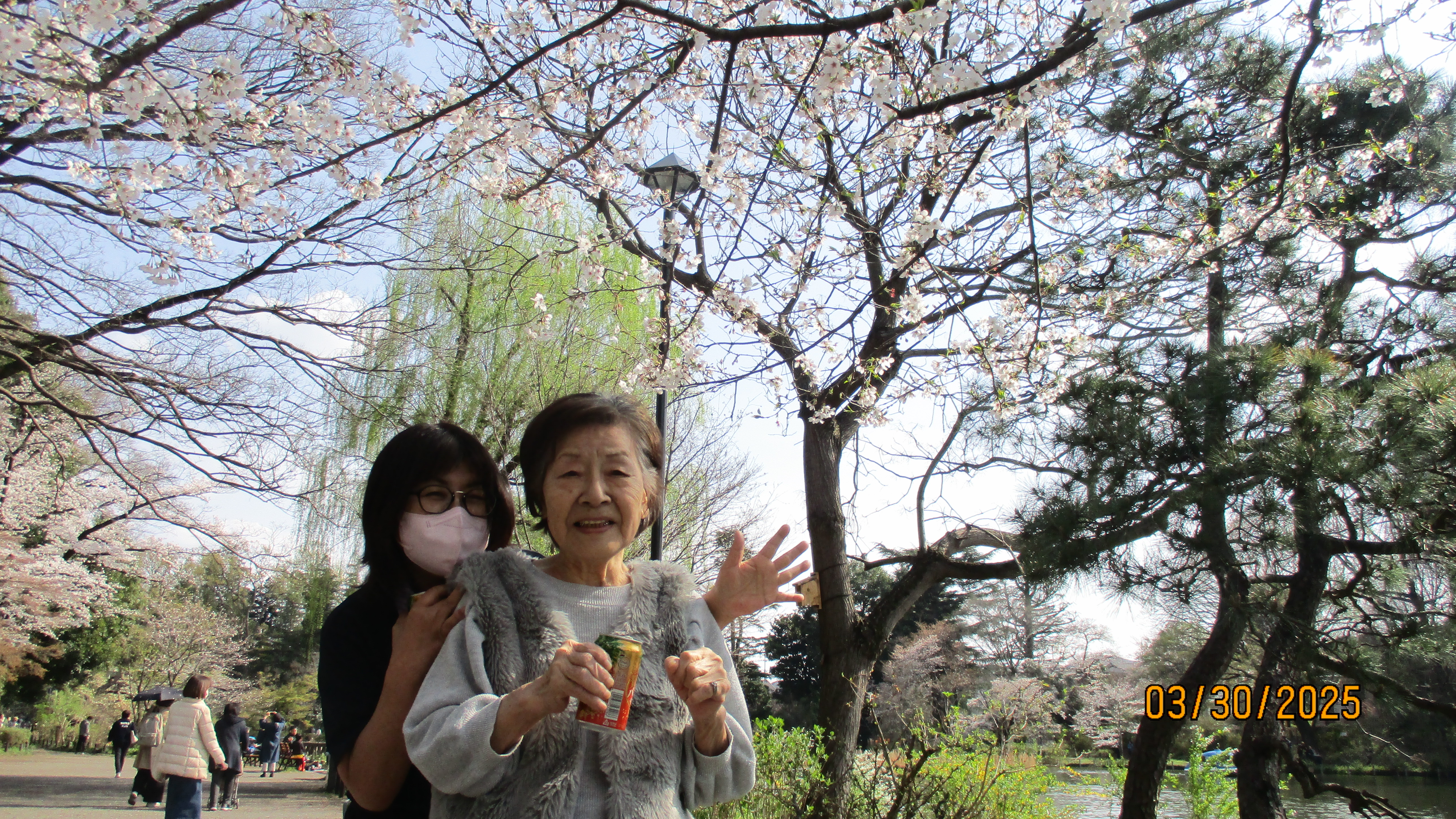 善福寺公園桜見②