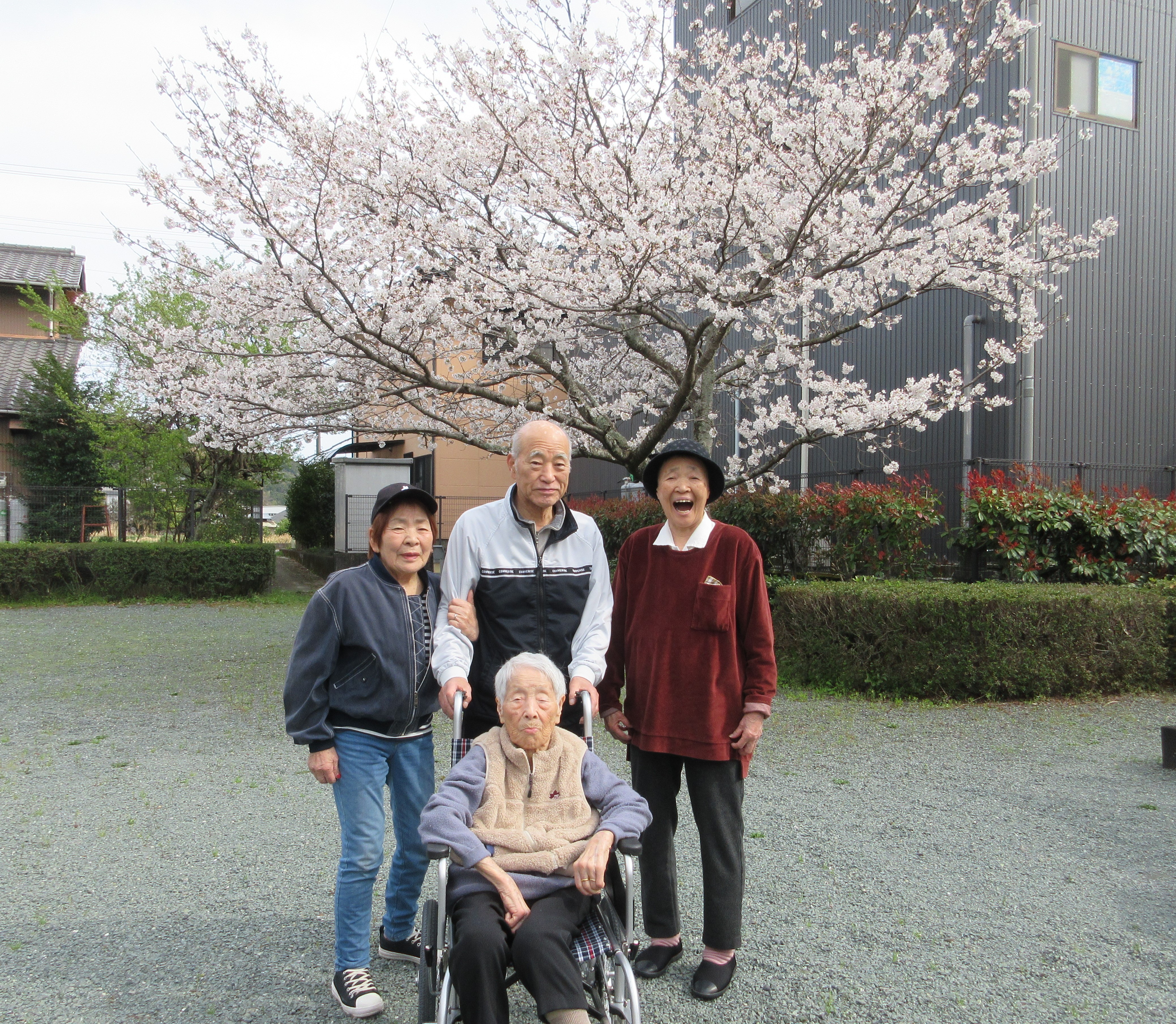 外出の目的は～　桜🌸です！