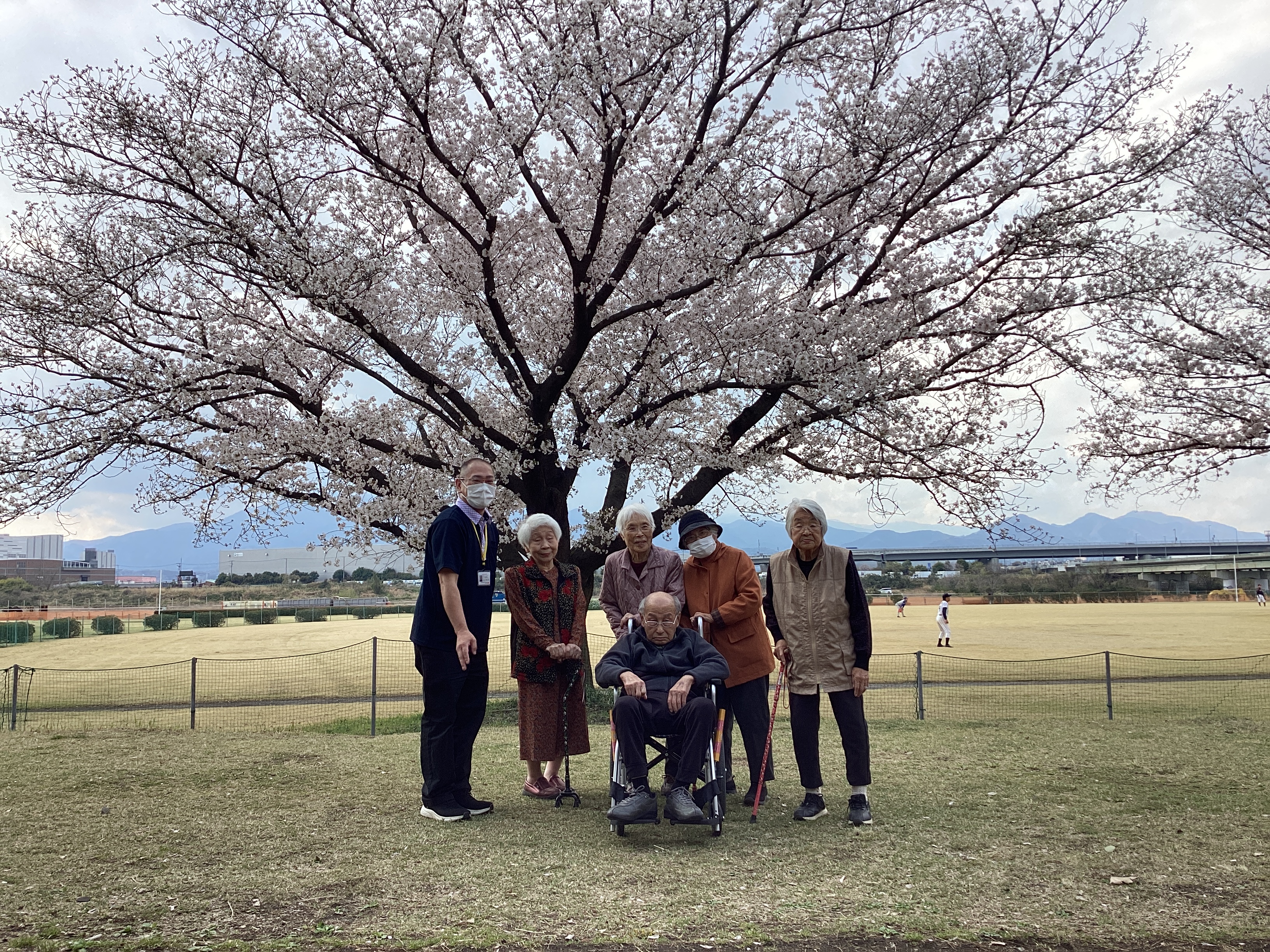 🌸桜を見に行ってきました🌸