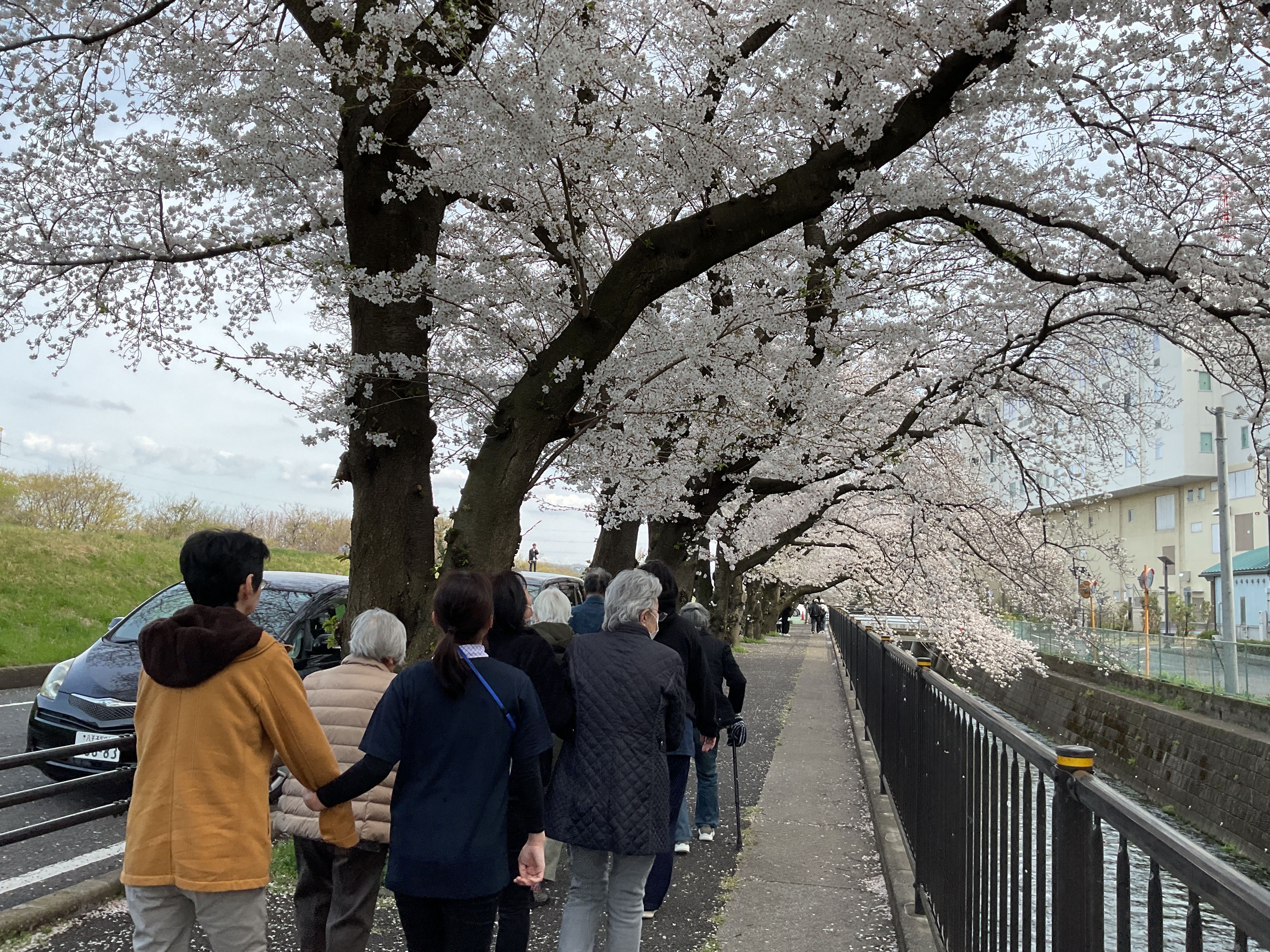 お花見ドライブpart２