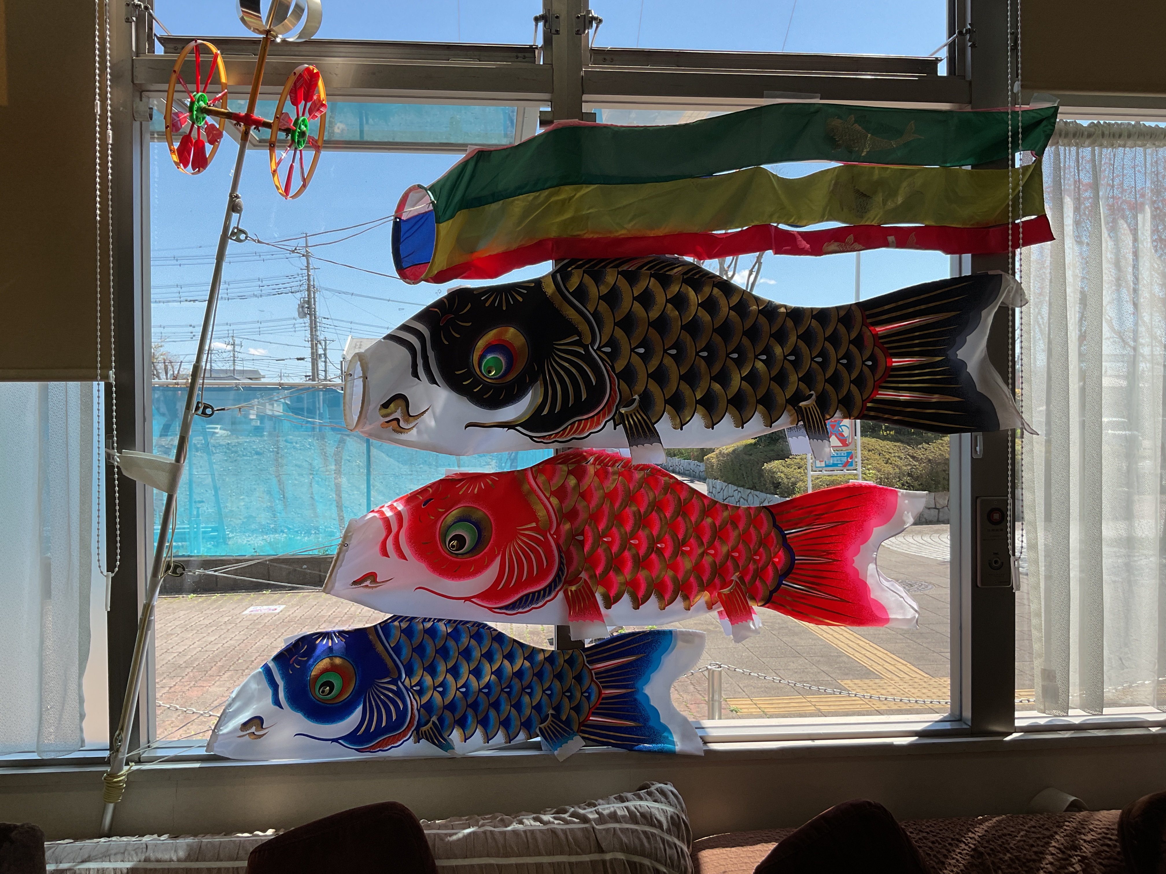 🎏鯉のぼり🎏