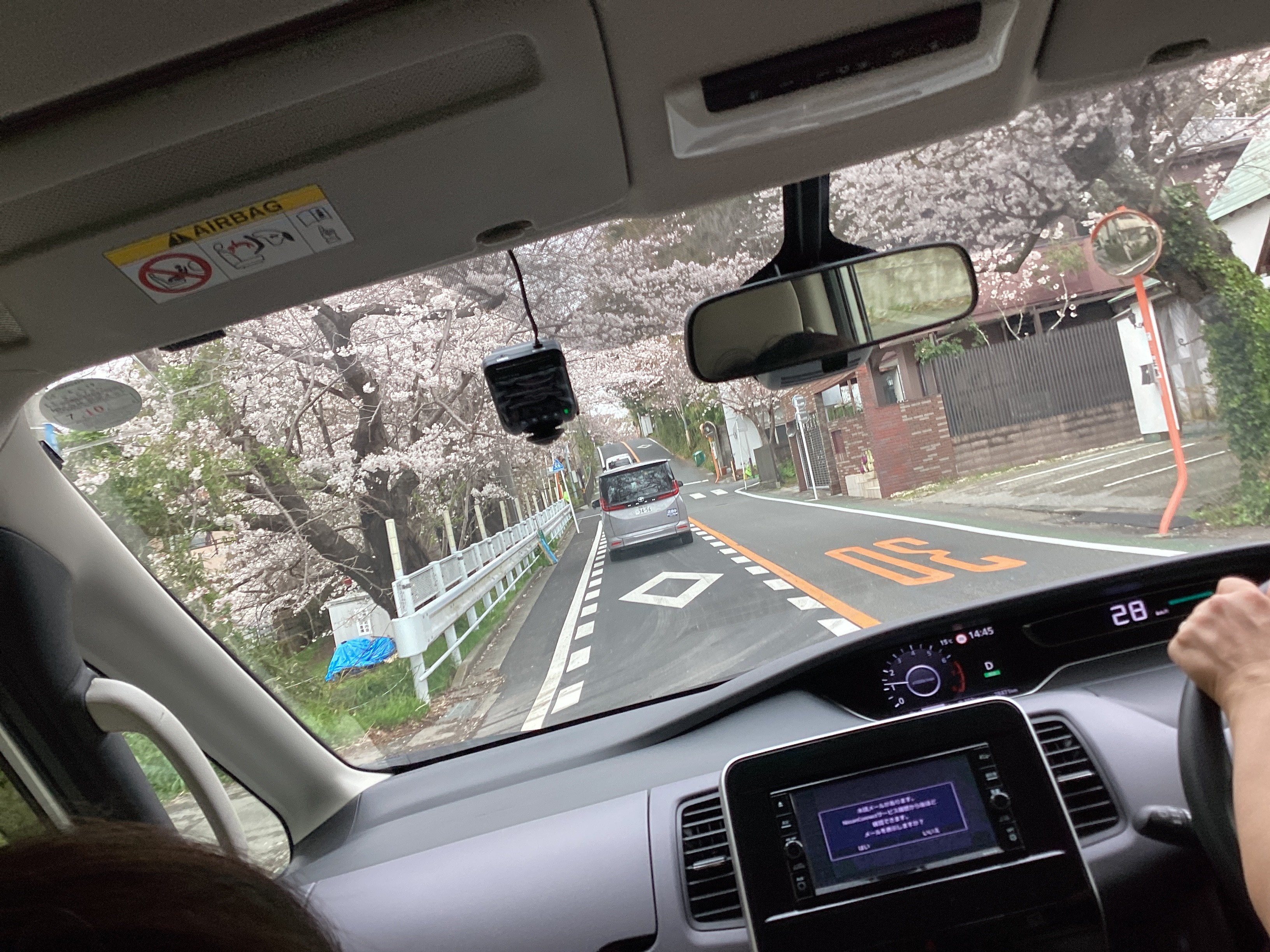 4/2(水)4/4(金)開催🌸【桜ドライブツアー】🌸