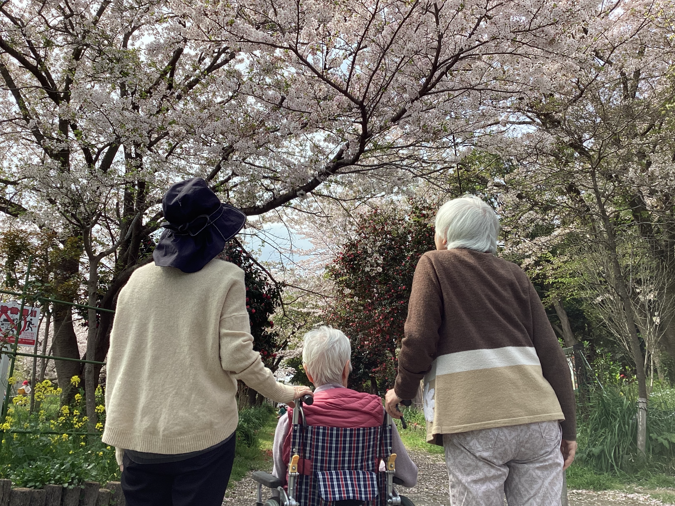 お花見🌸