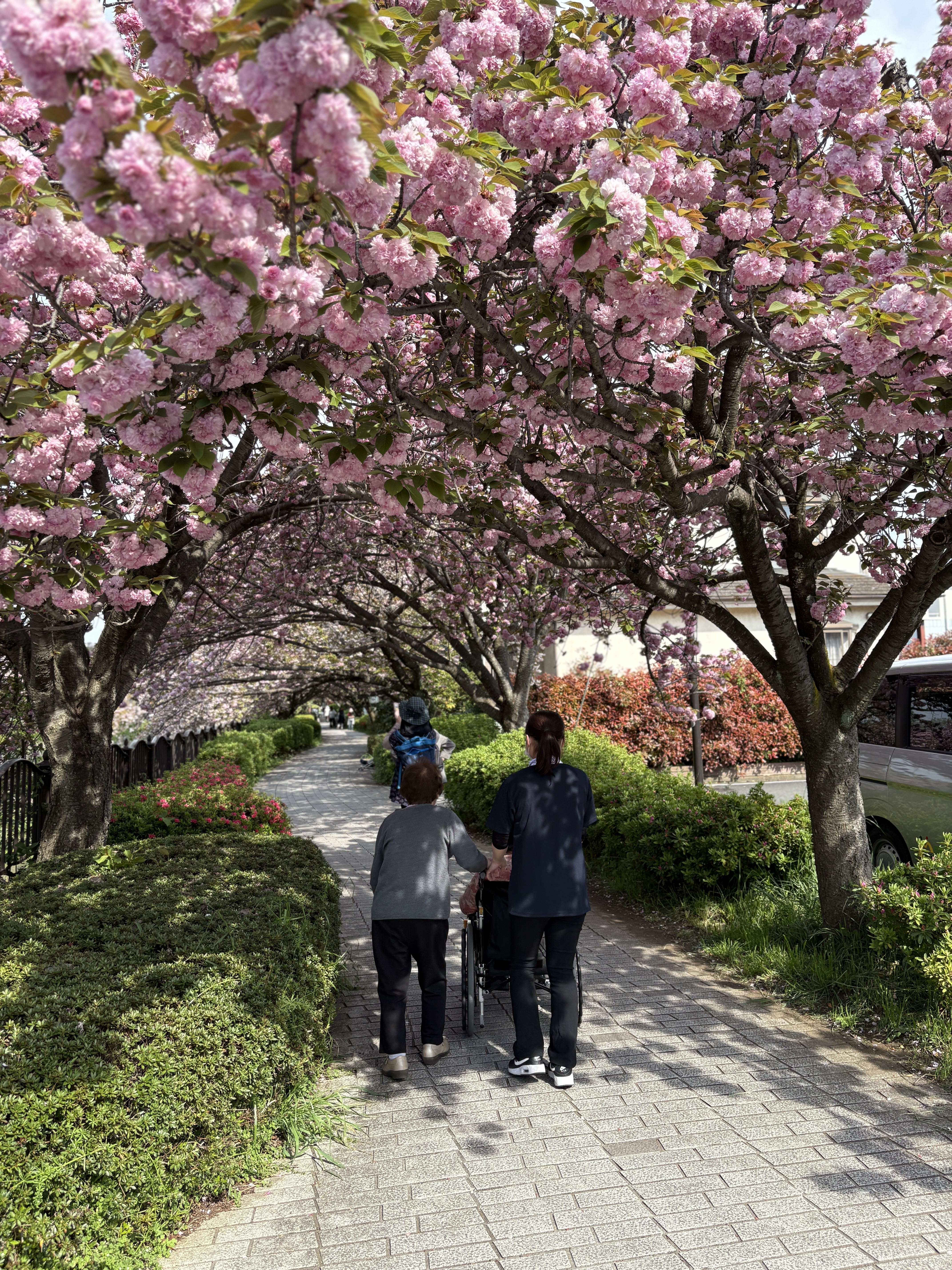 フリフリのヒ～ラヒラ！