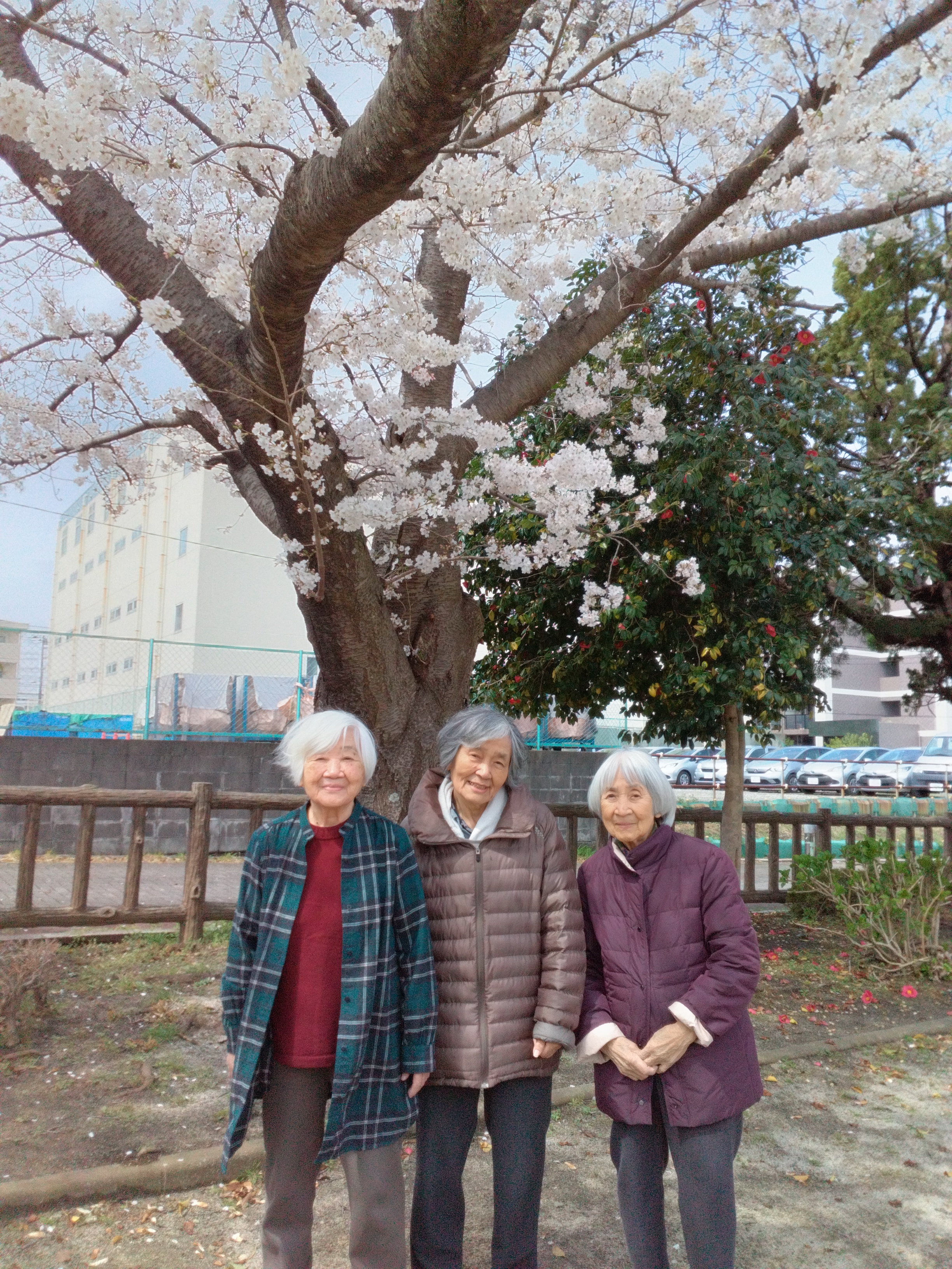 さくら🌸①