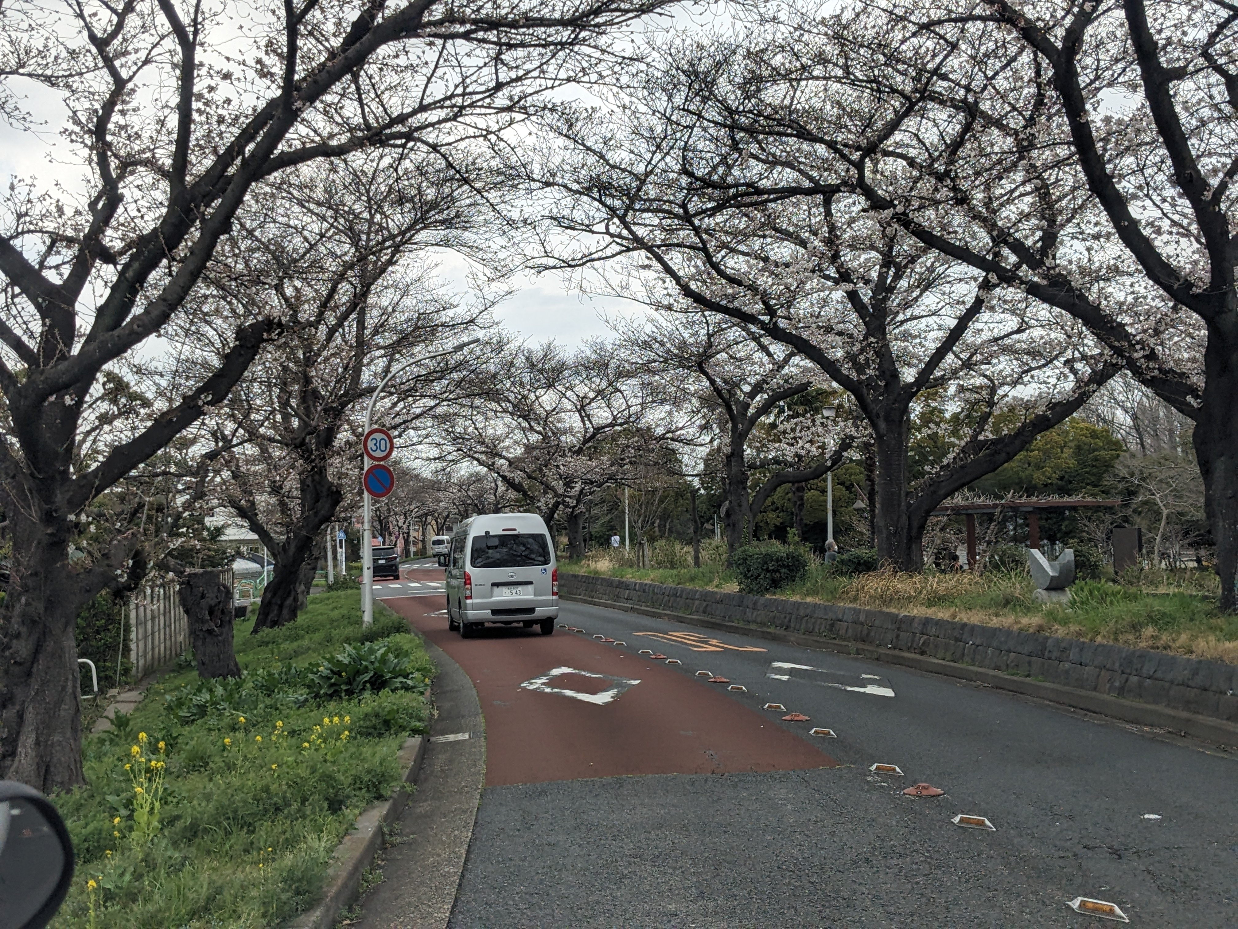 【葛飾奥戸】お花見ドライブ(3月)