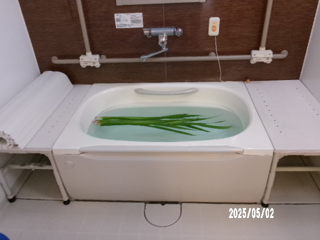 🎏菖蒲湯🎏