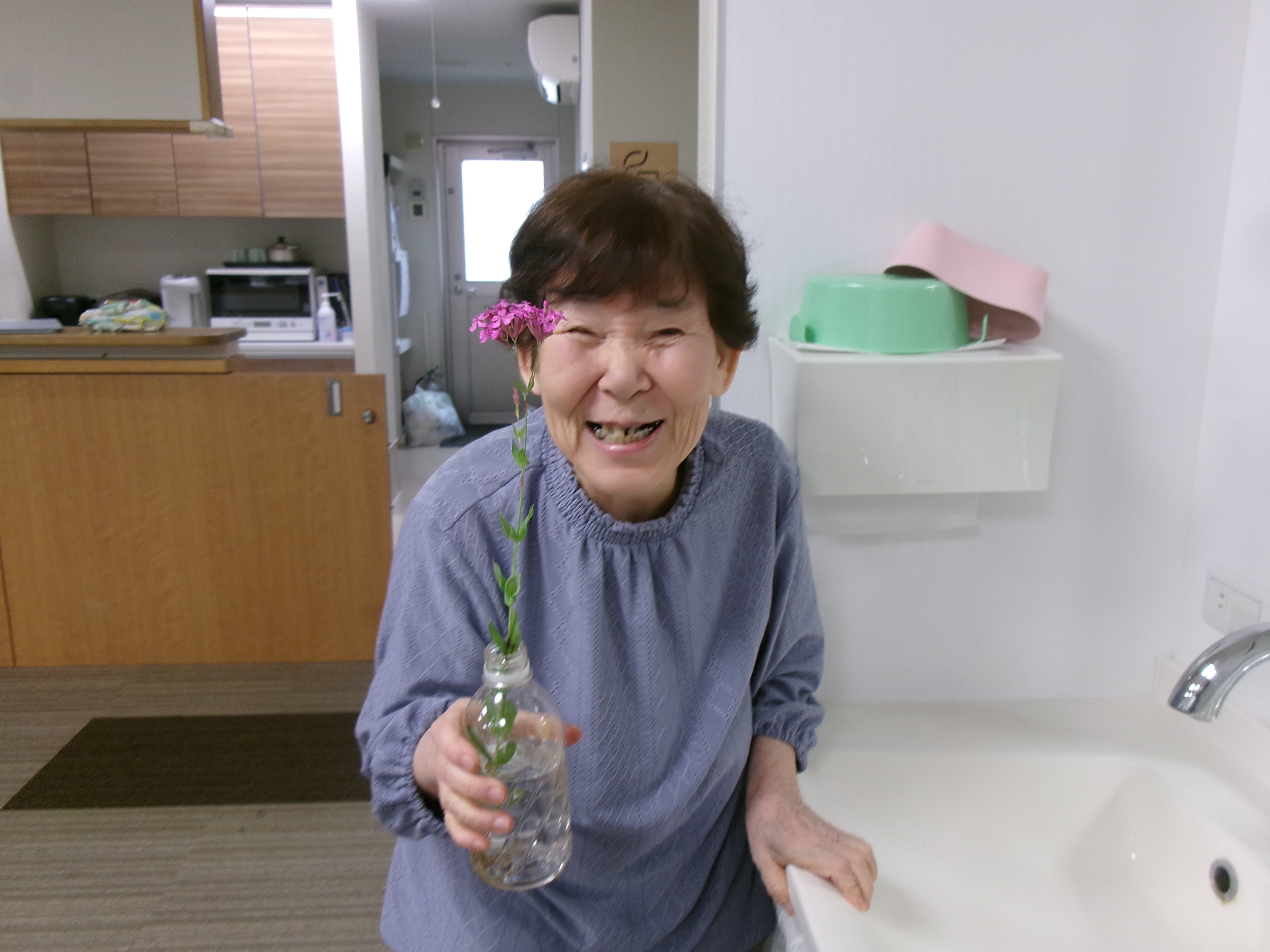 綺麗なお花