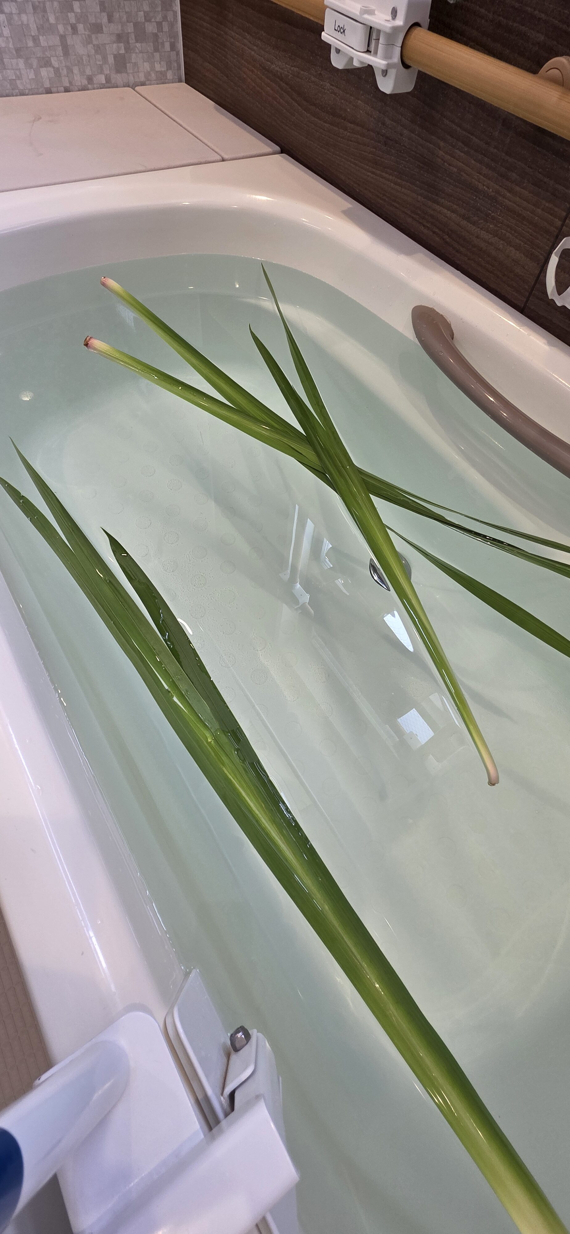 しょうぶ湯