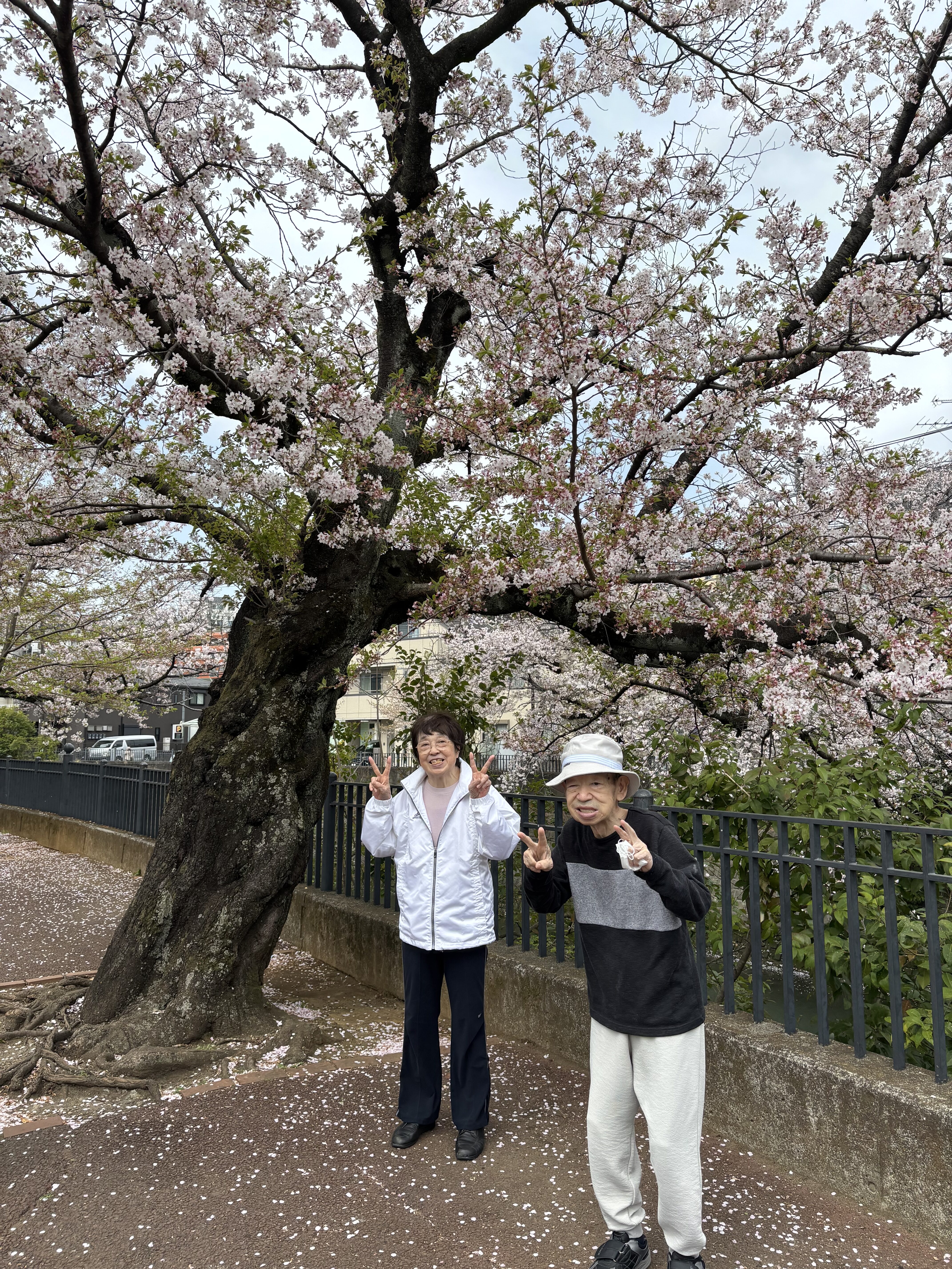お花見に行きました！