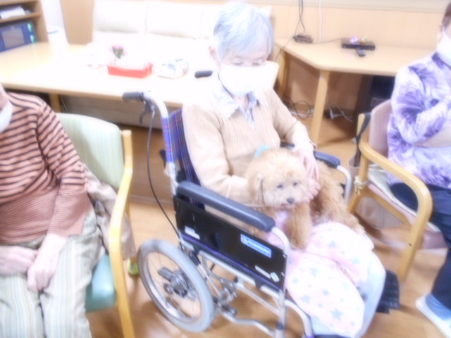 ペットセラピー🐶で癒しタイム💕