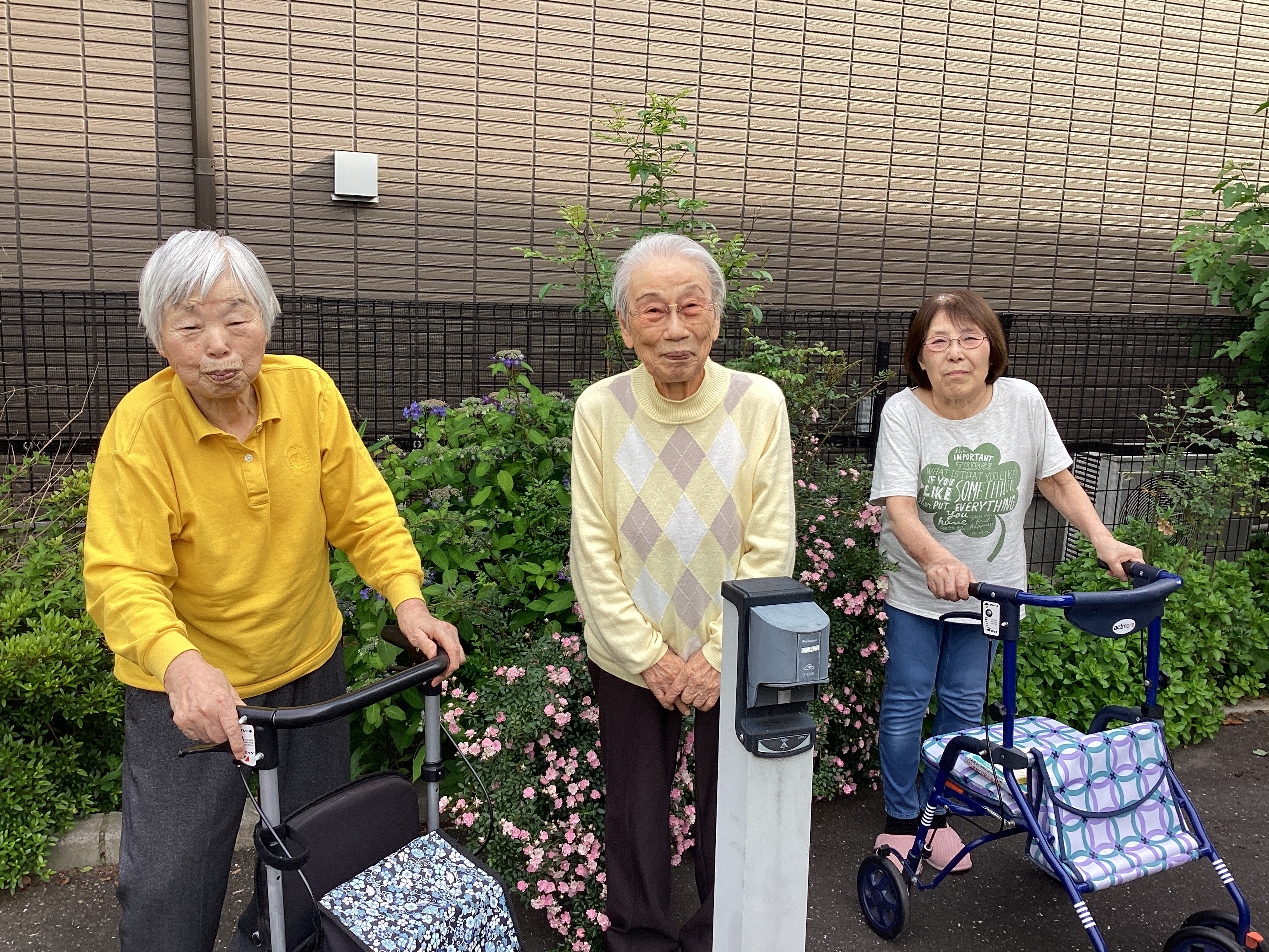 バ～ラが咲いた🎶