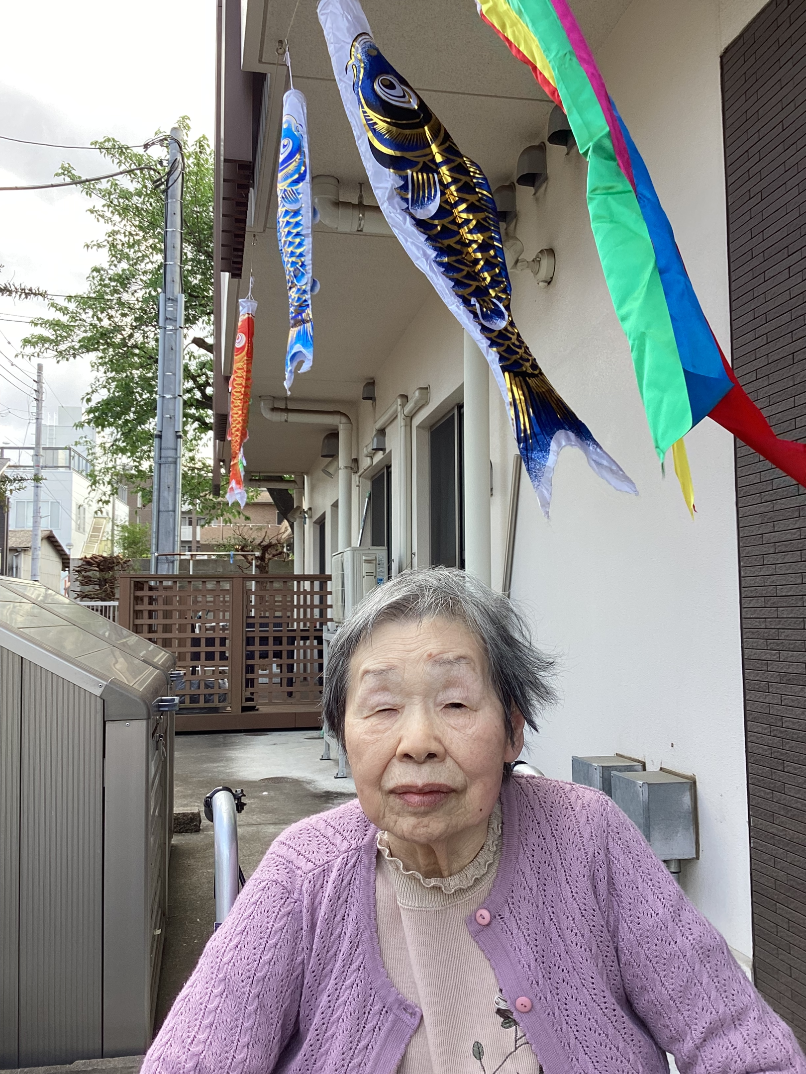 屋根より高い鯉のぼり