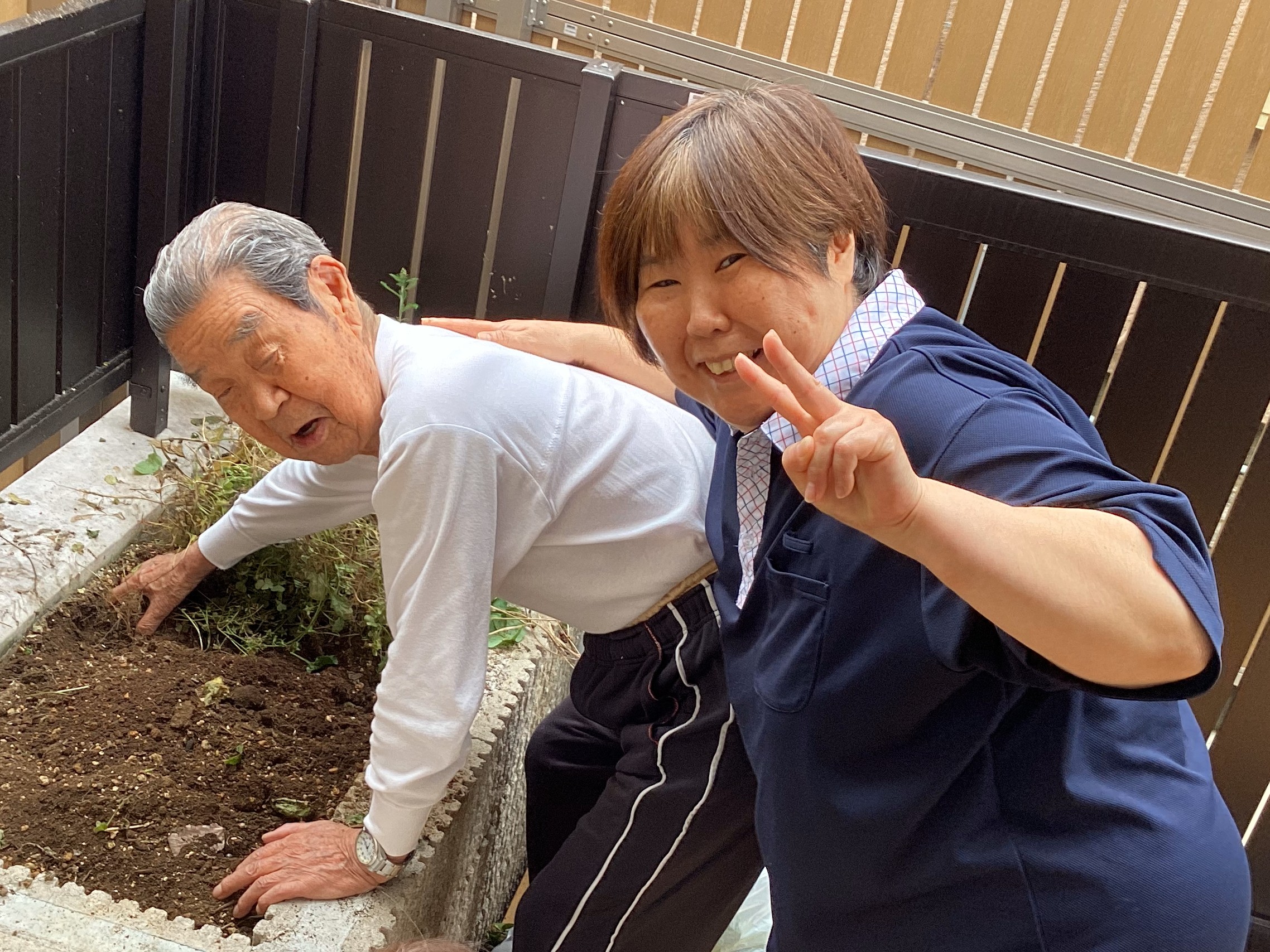 🥬始動🥬