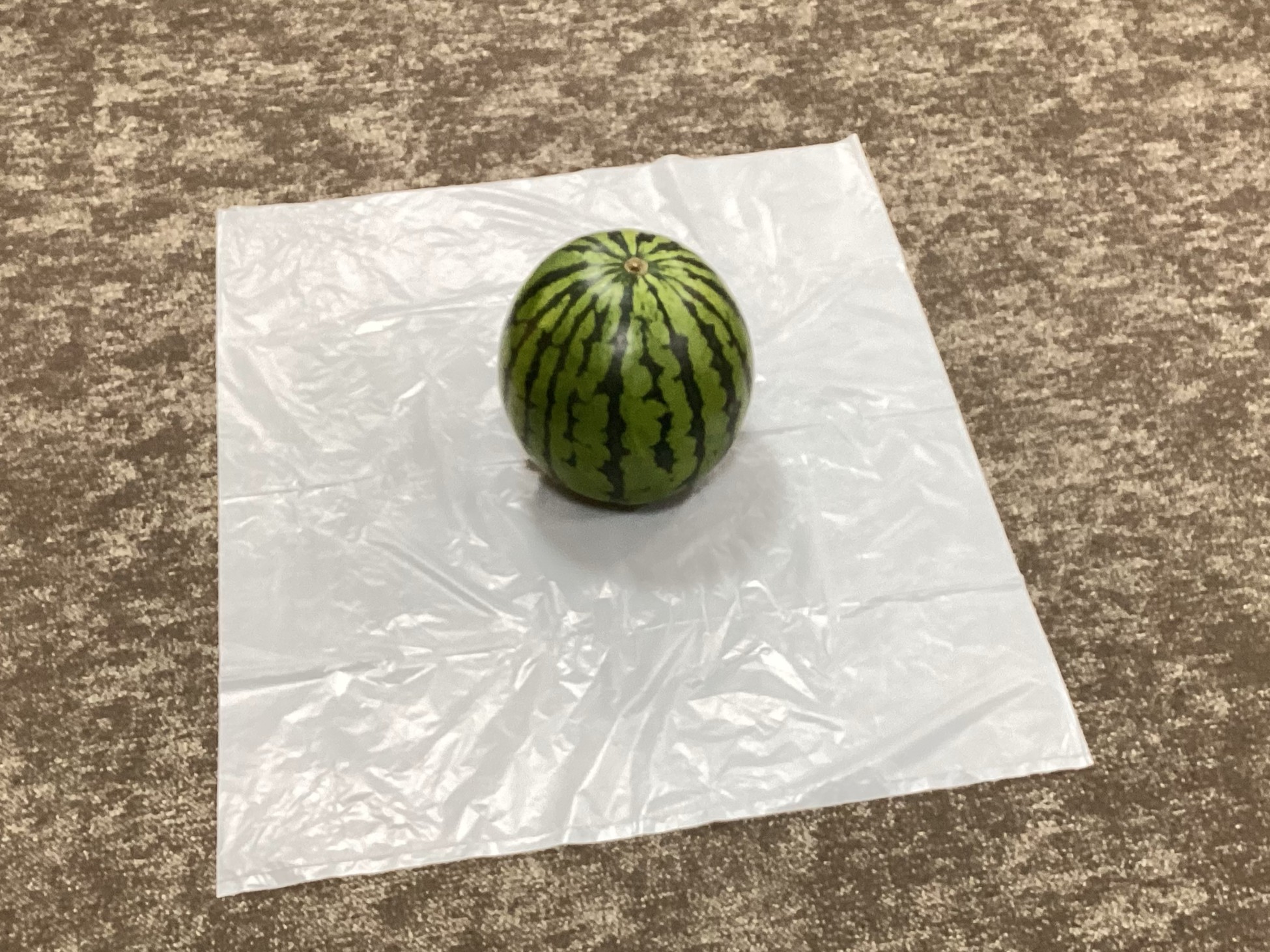 🍉スイカ🍉