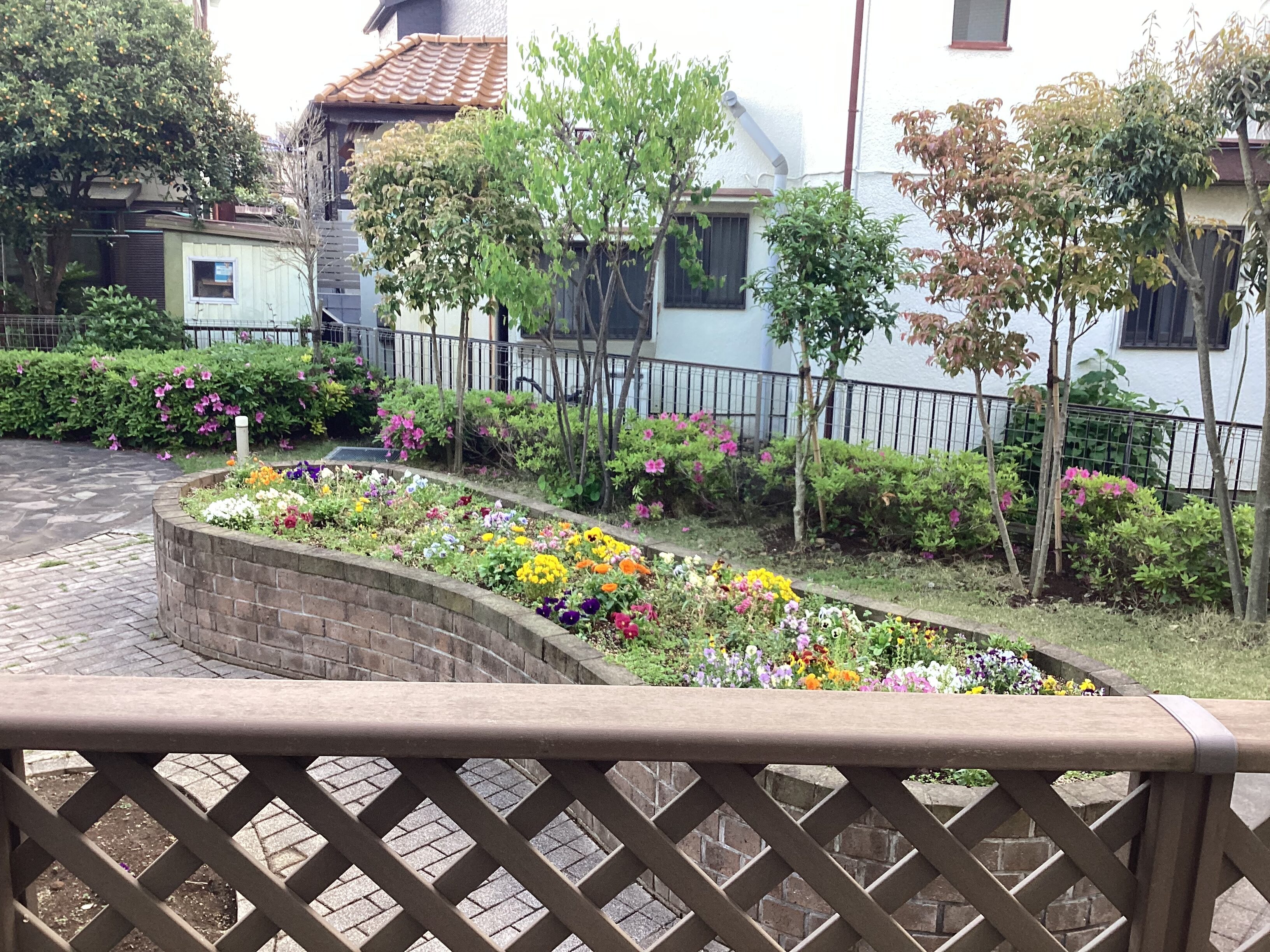 花壇に綺麗なお花が咲きました！！