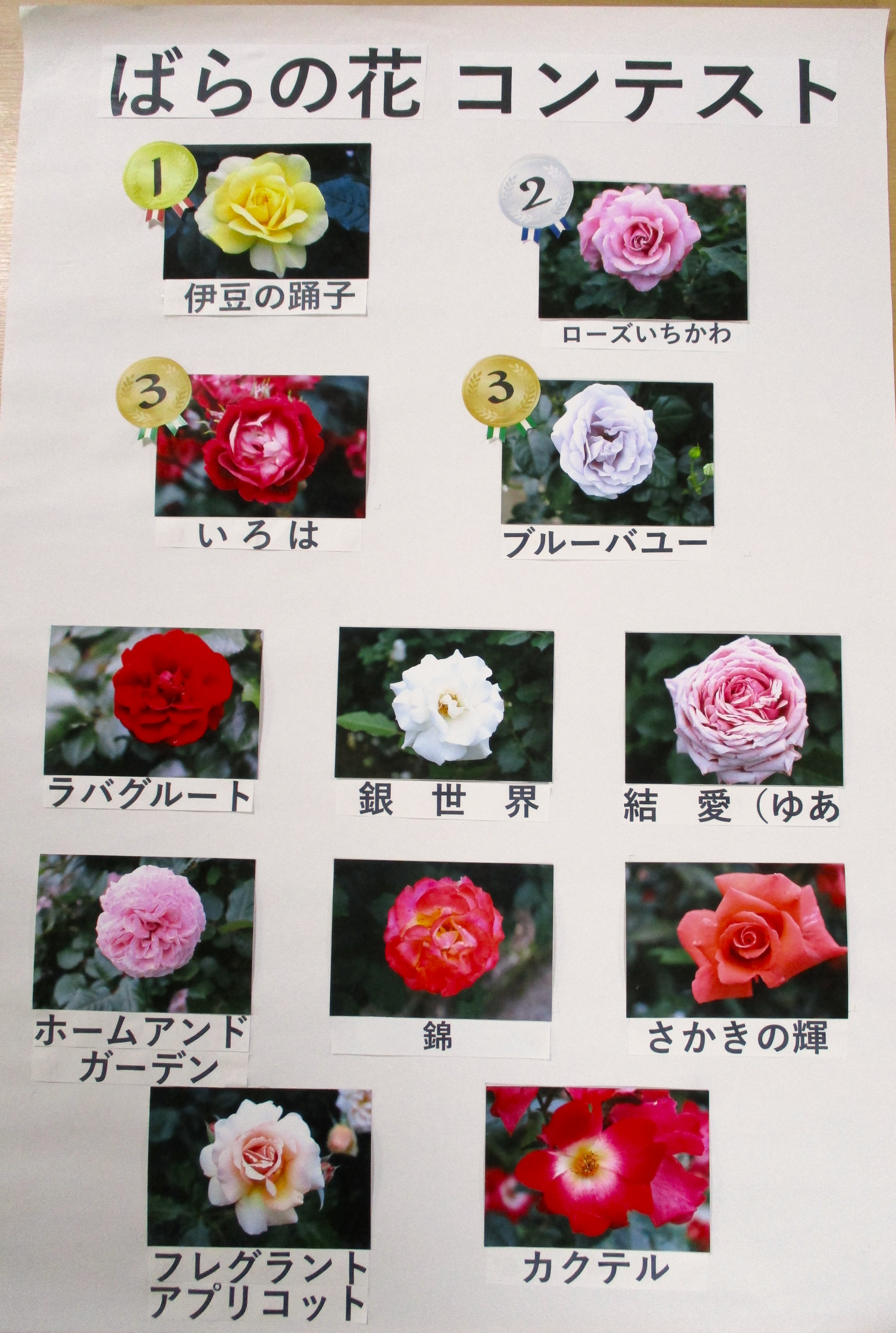 ばらの花　コンテスト