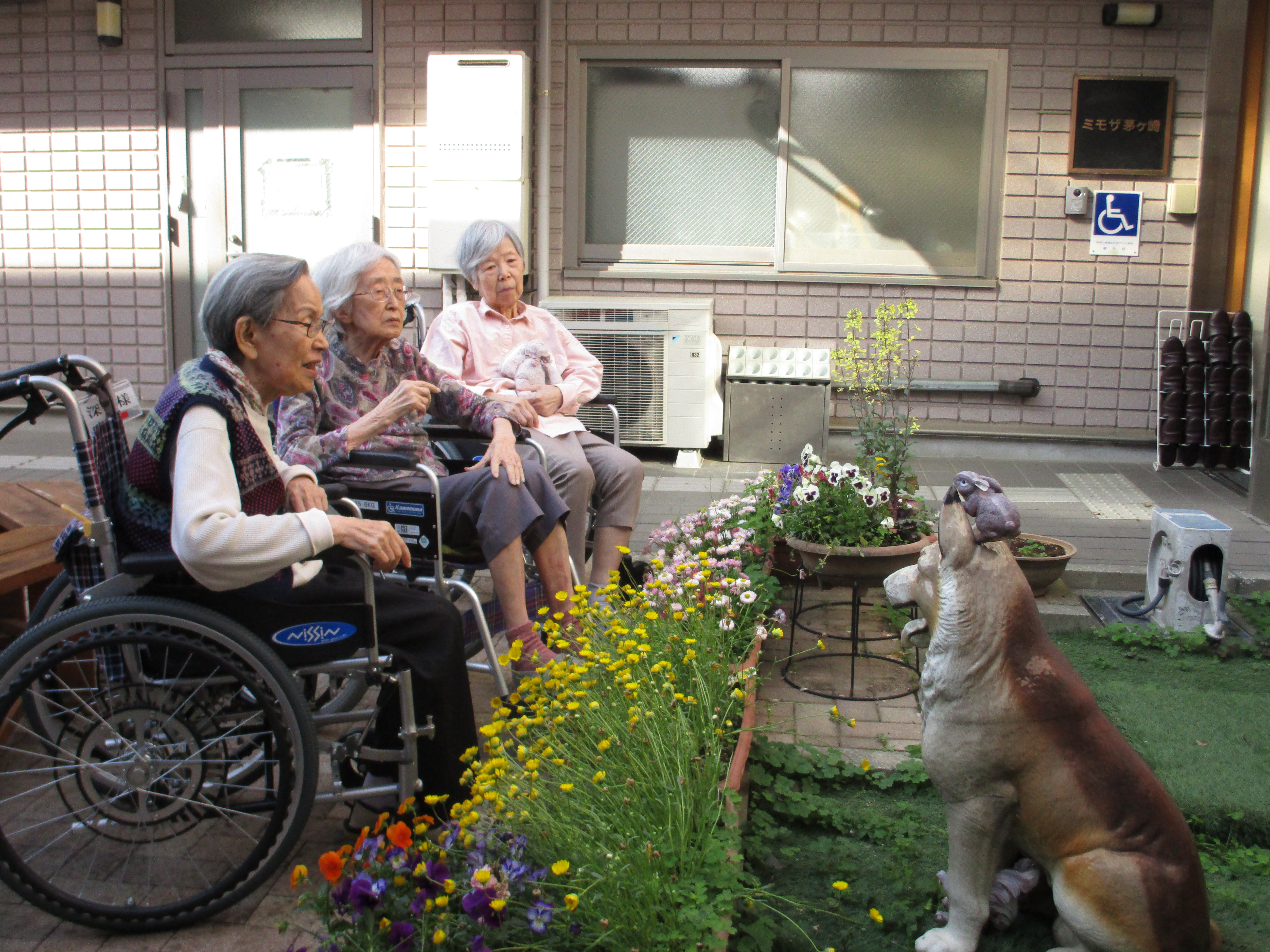 花を愛でる、ミモチンを囲んで。