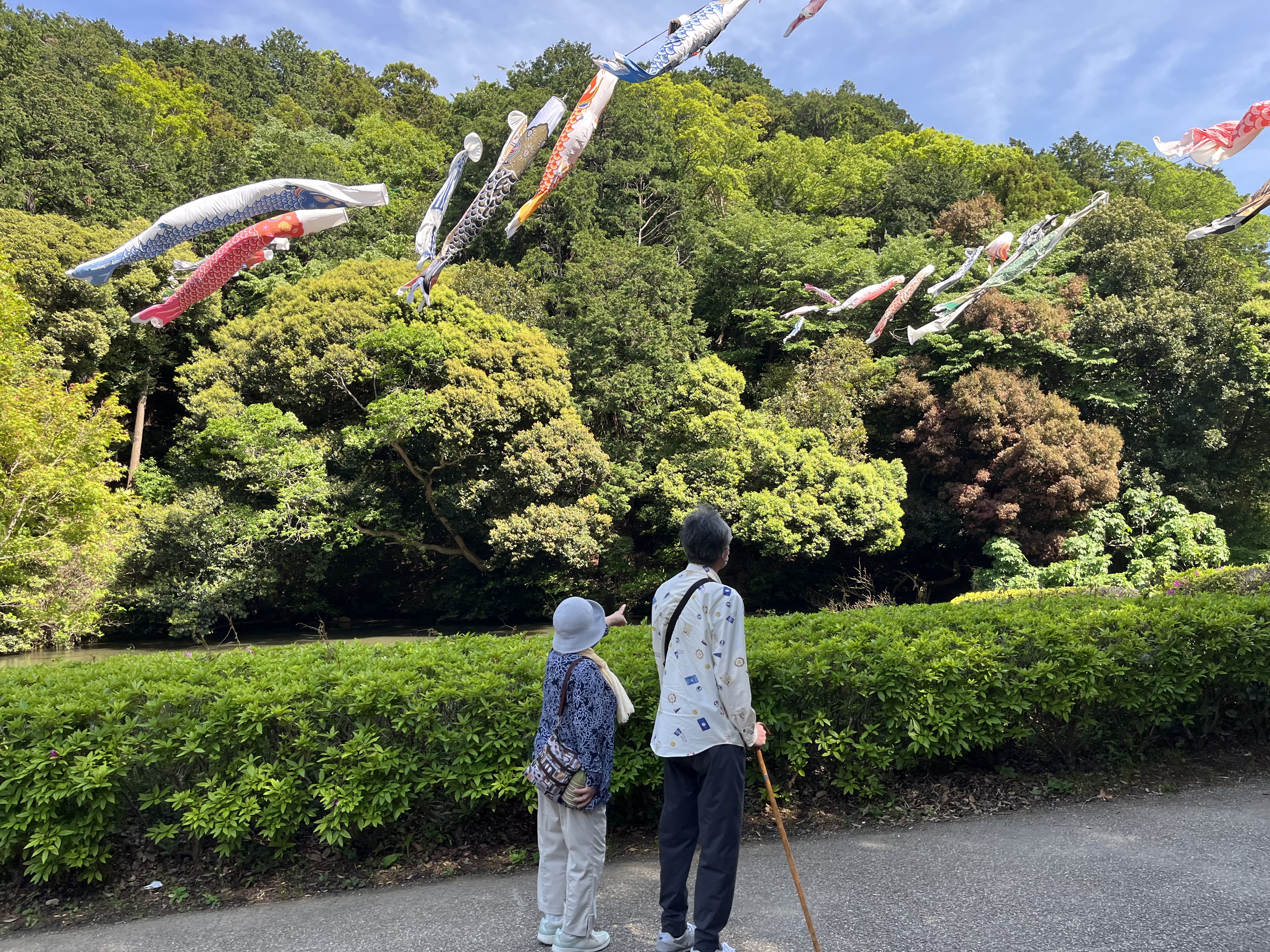 季節のドライブ🚗ツアー