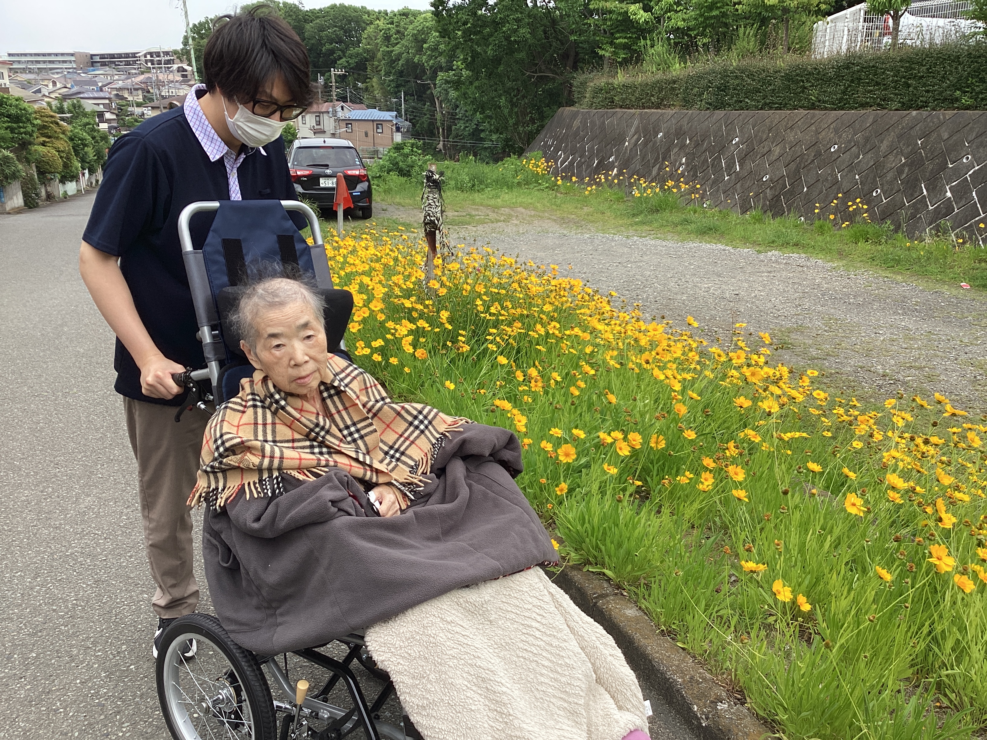 お散歩🌻