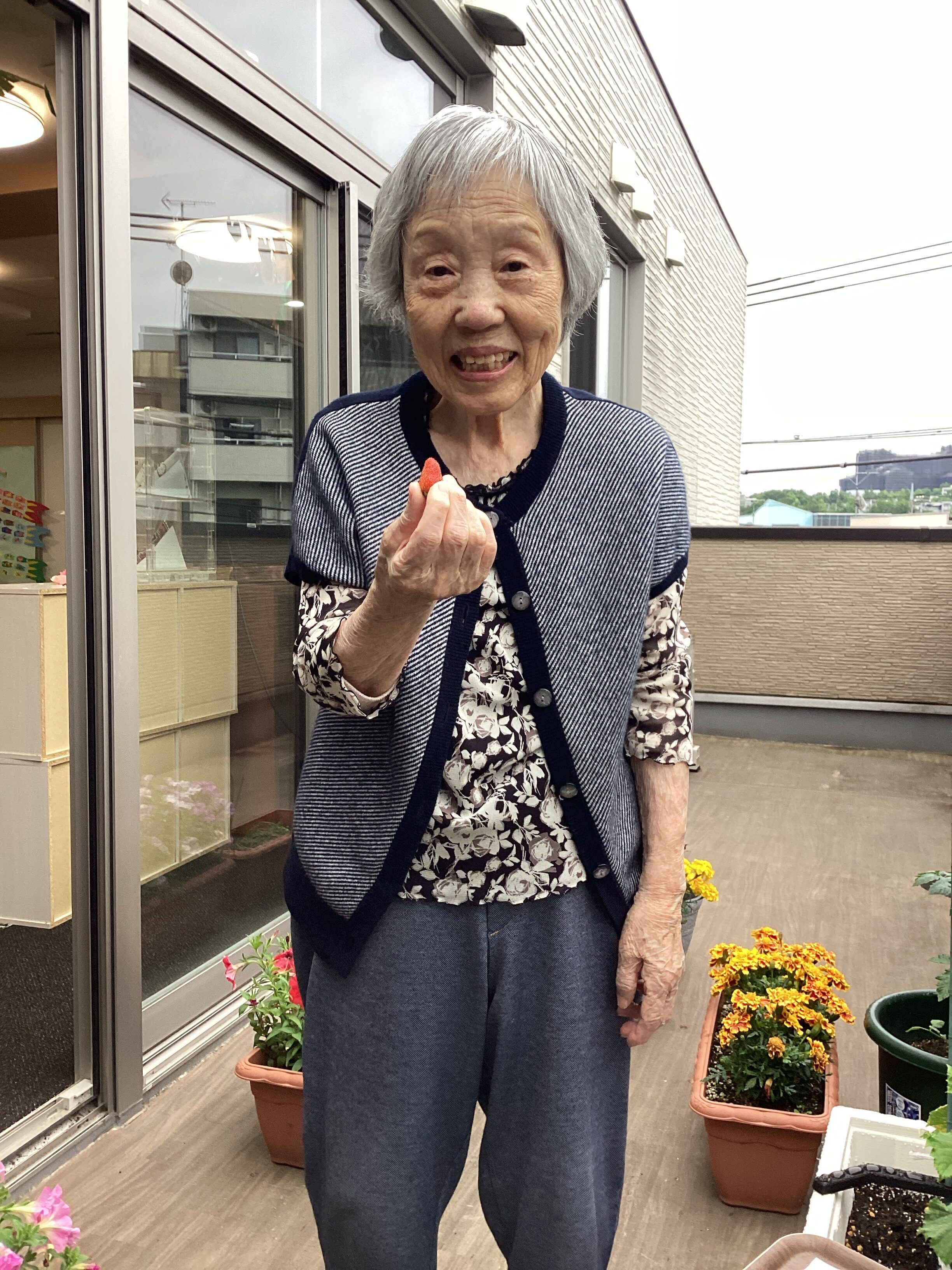いちご狩り