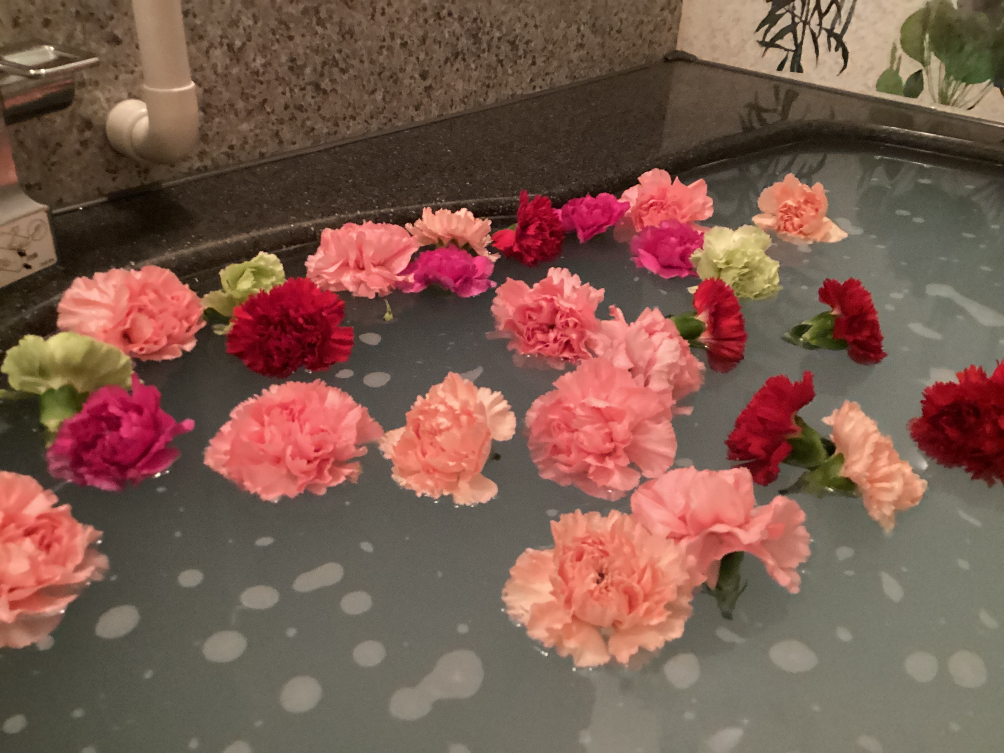 🌺カーネーション風呂🌺