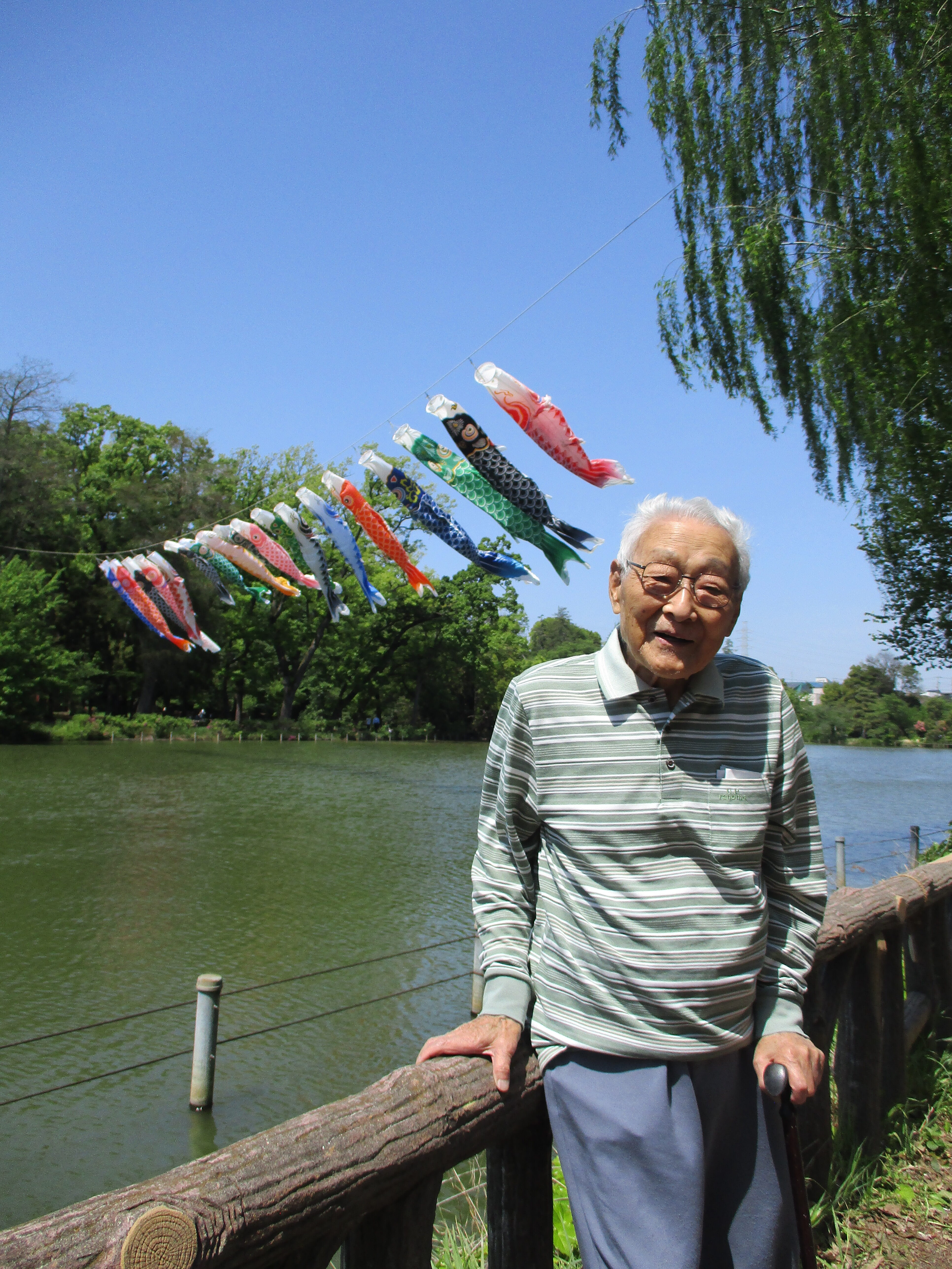 善福寺公園のこいのぼり🎏