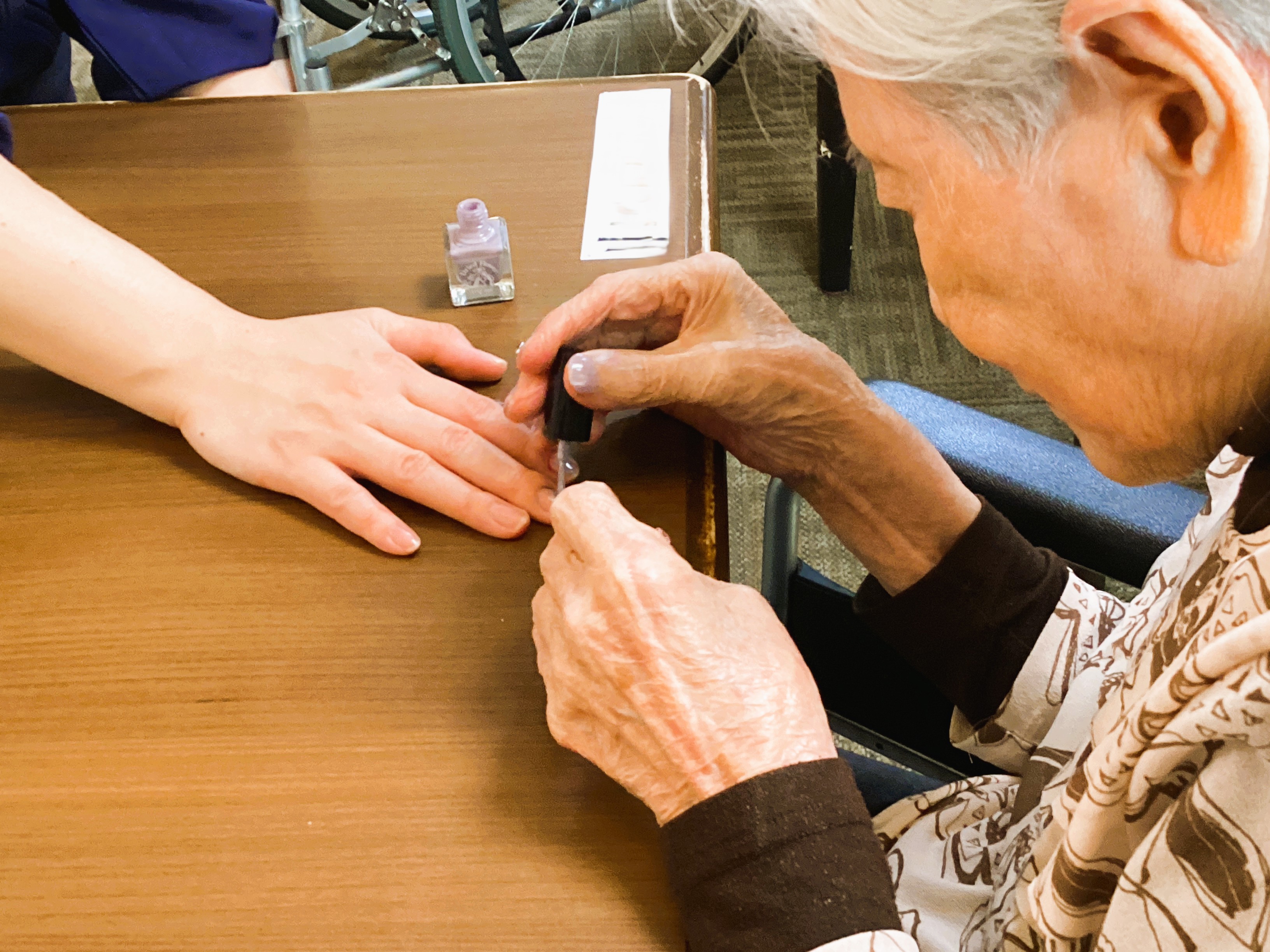 ✨Inheritance of Beauty✨