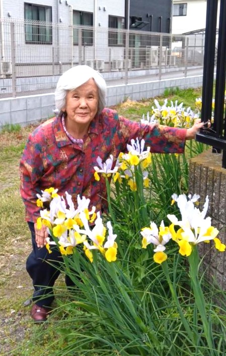 初夏の花