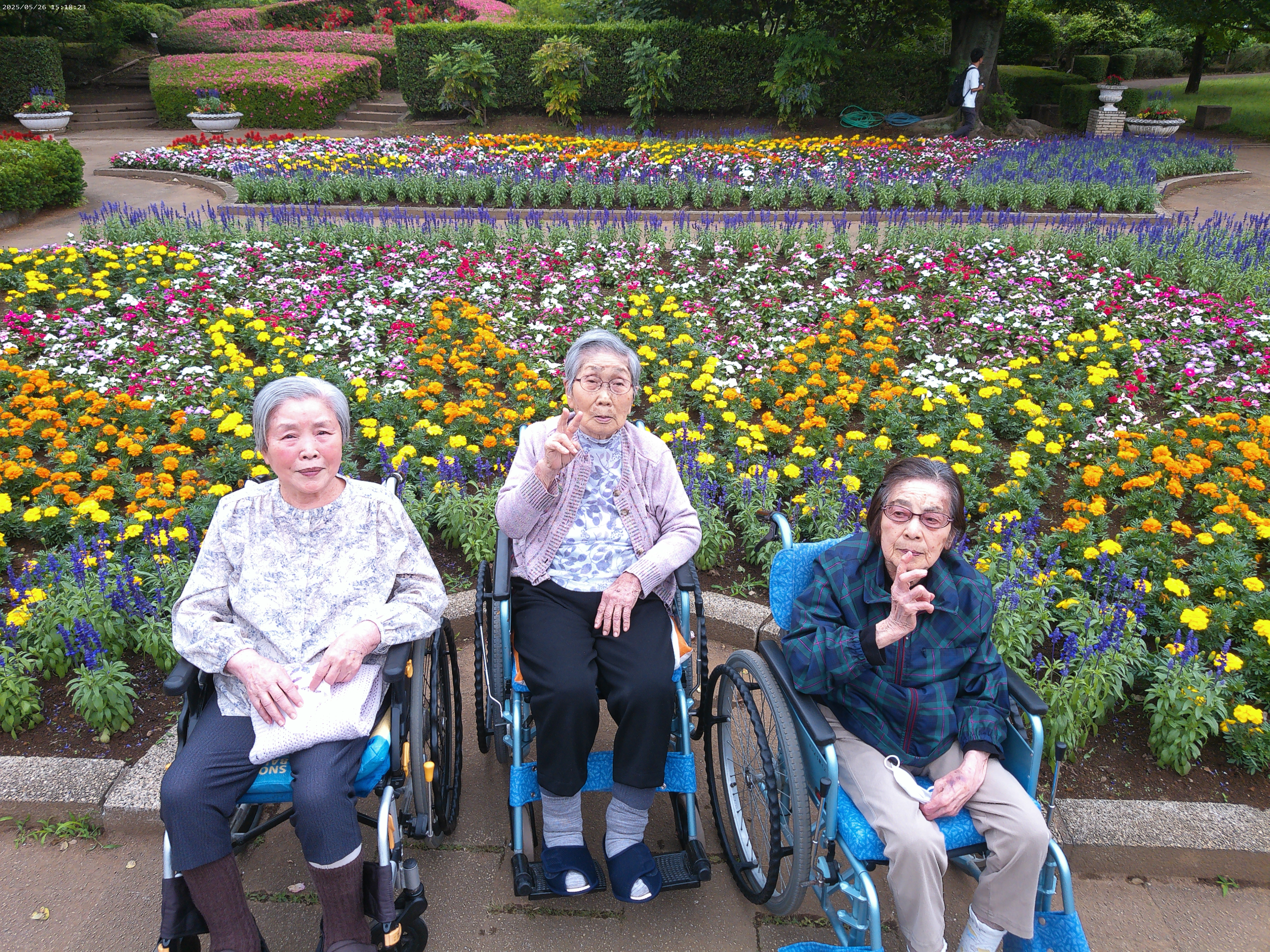 バラ園・・・(#^.^#)🌹